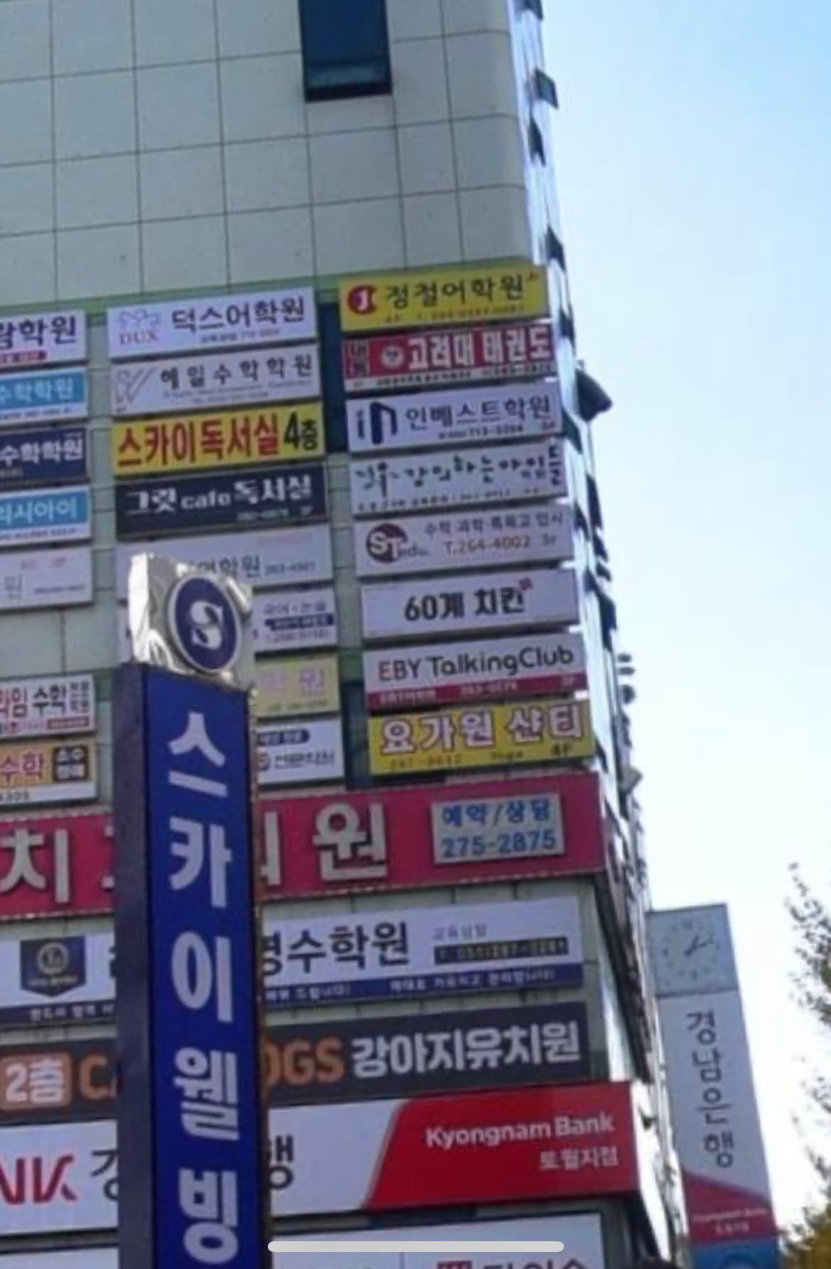 대동 체육관 사진 2