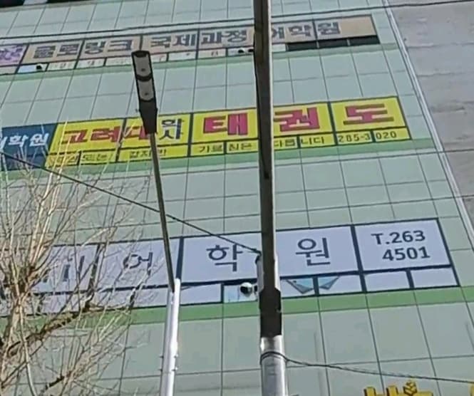 대동 체육관 사진 4