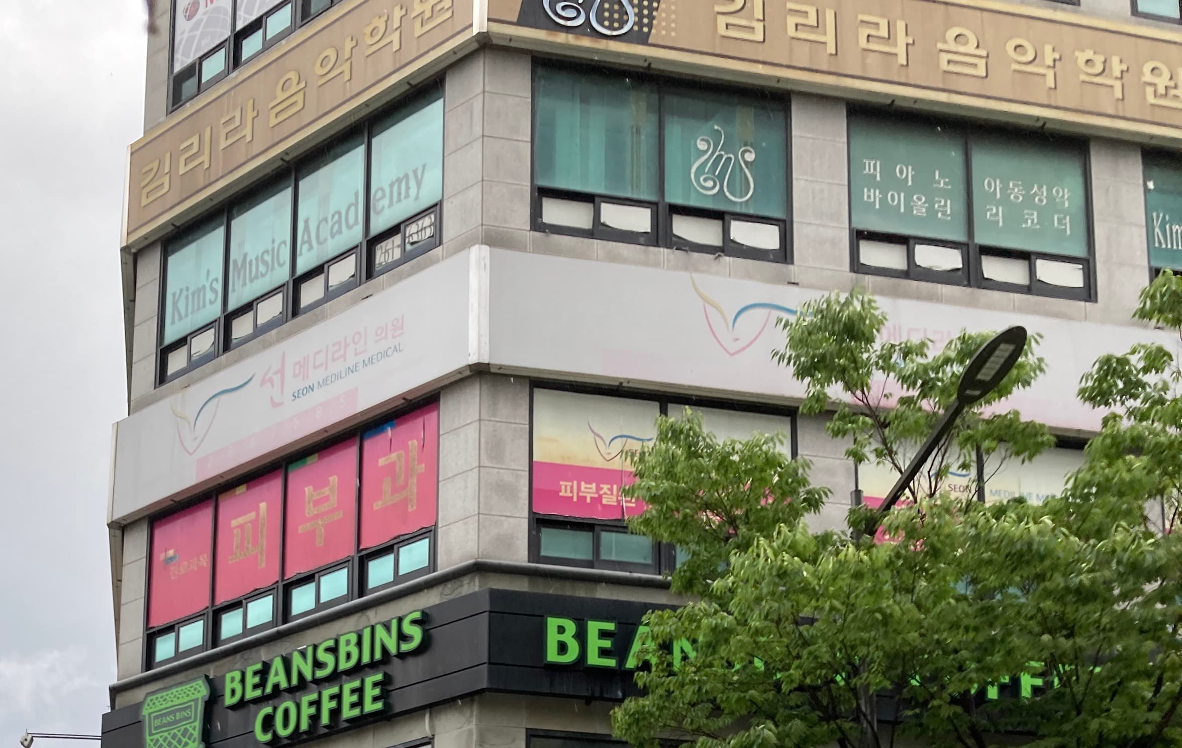 김리라 음악학원 사진 3