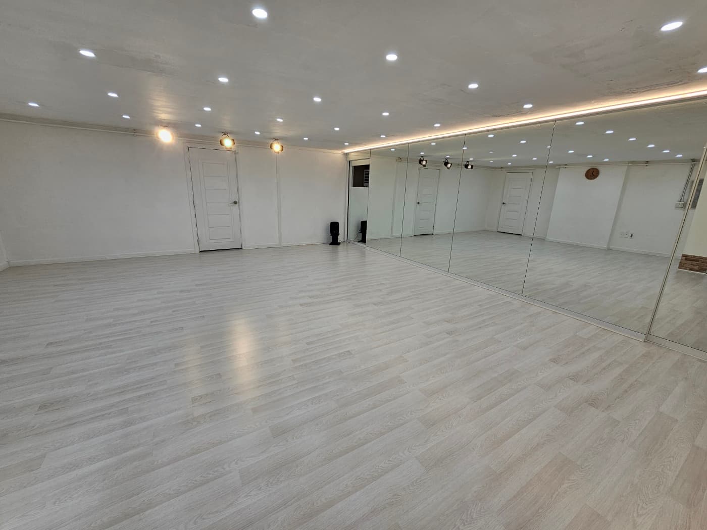 레오 댄스 사진 1