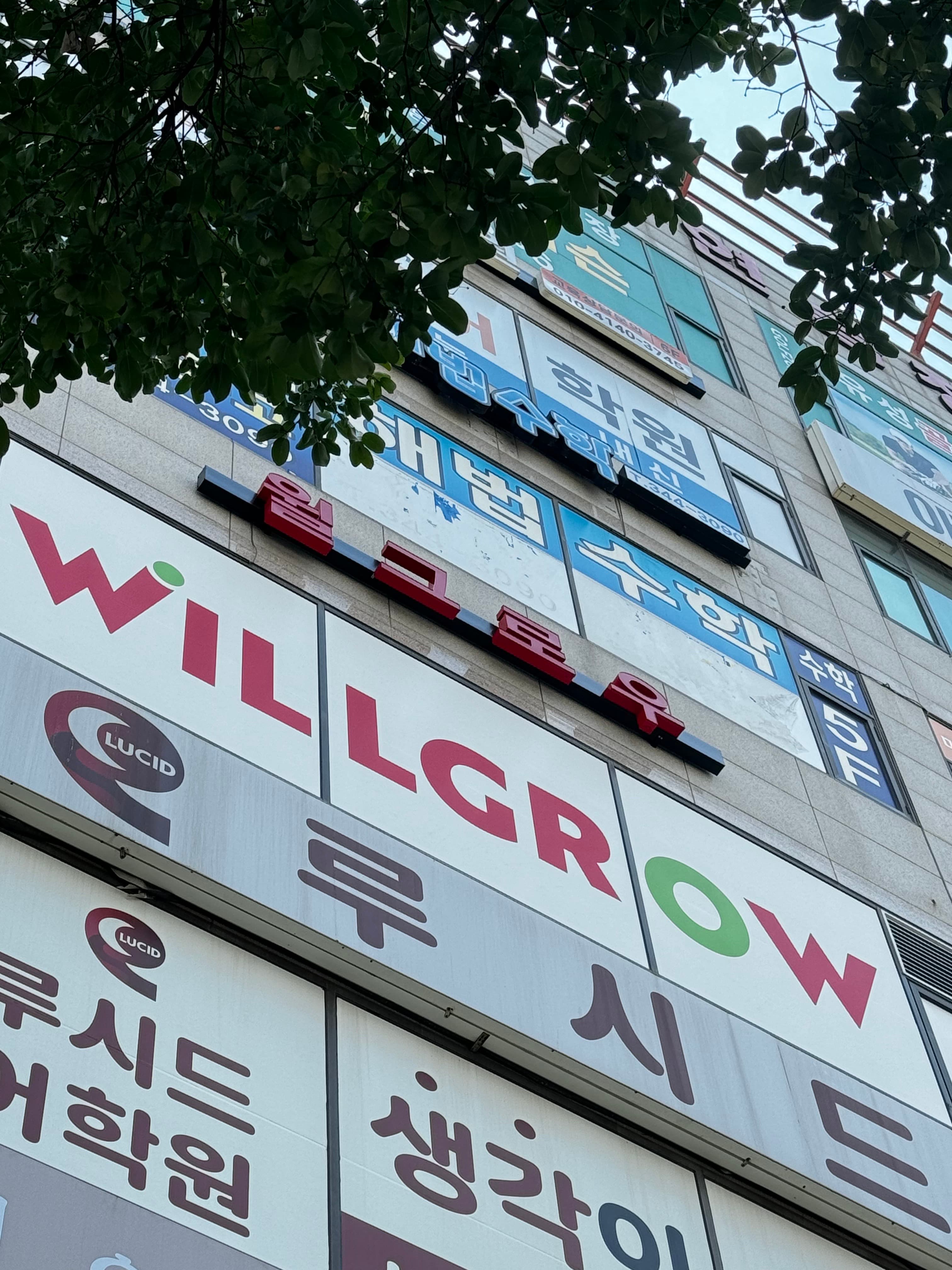 윌그로우영어 S클래스수학 사진 1