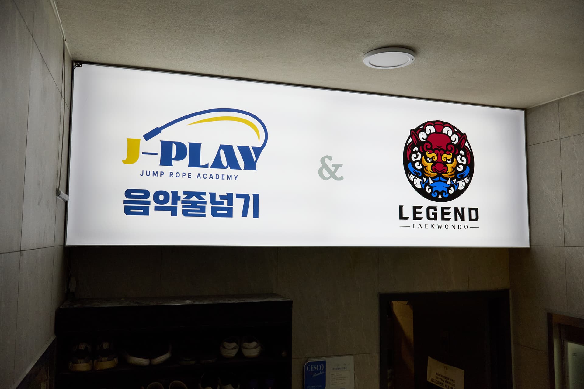 레전드 태권도 역동 사진 5