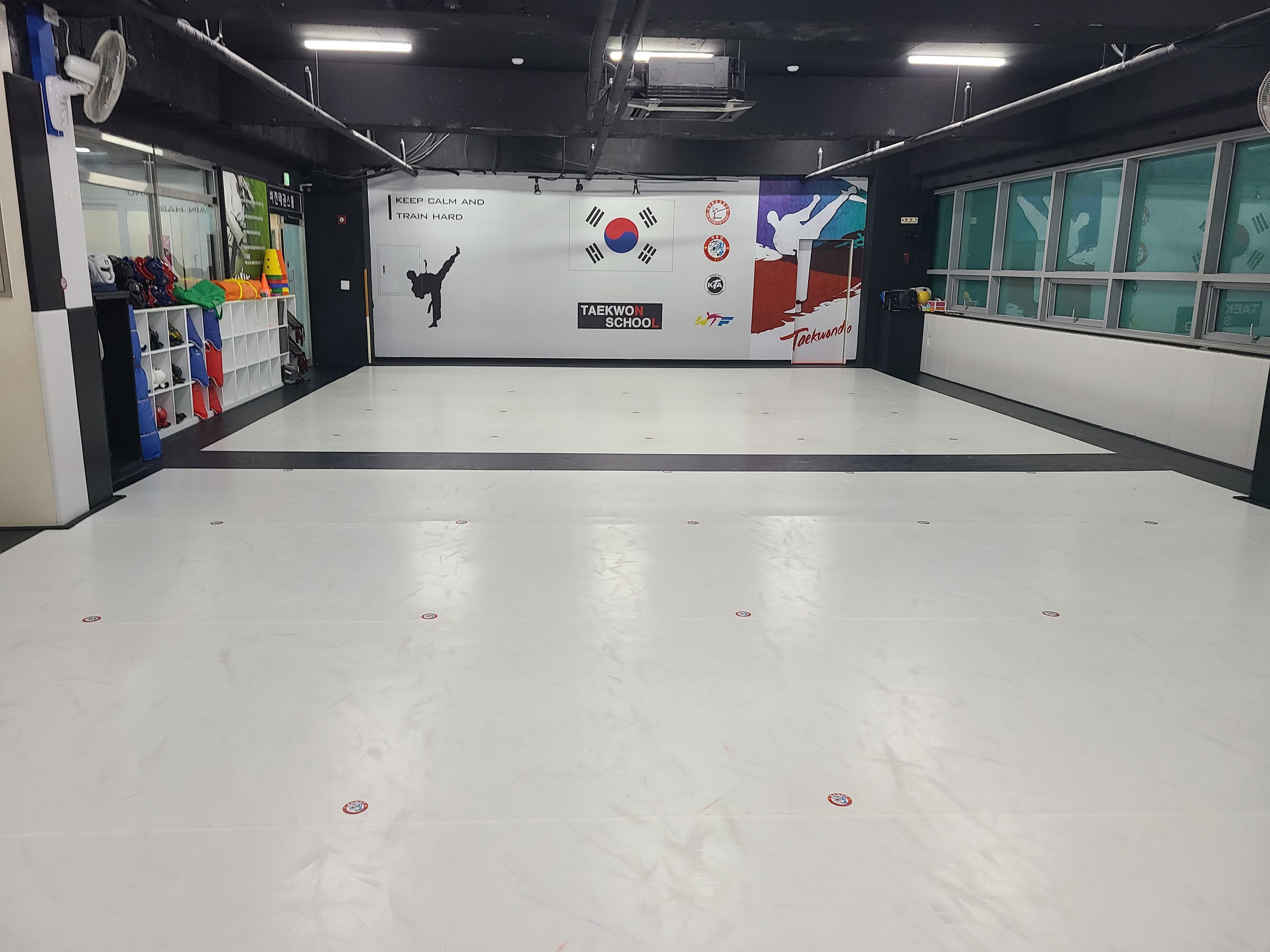 태들보비전 태권도 사진 2