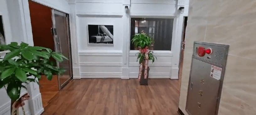 팀한체대짐네스틱클럽 사진 6