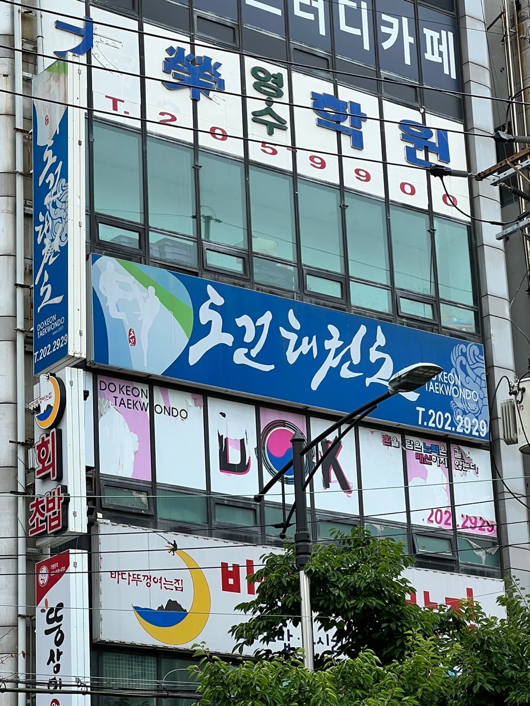 도건 태권도 사진 1