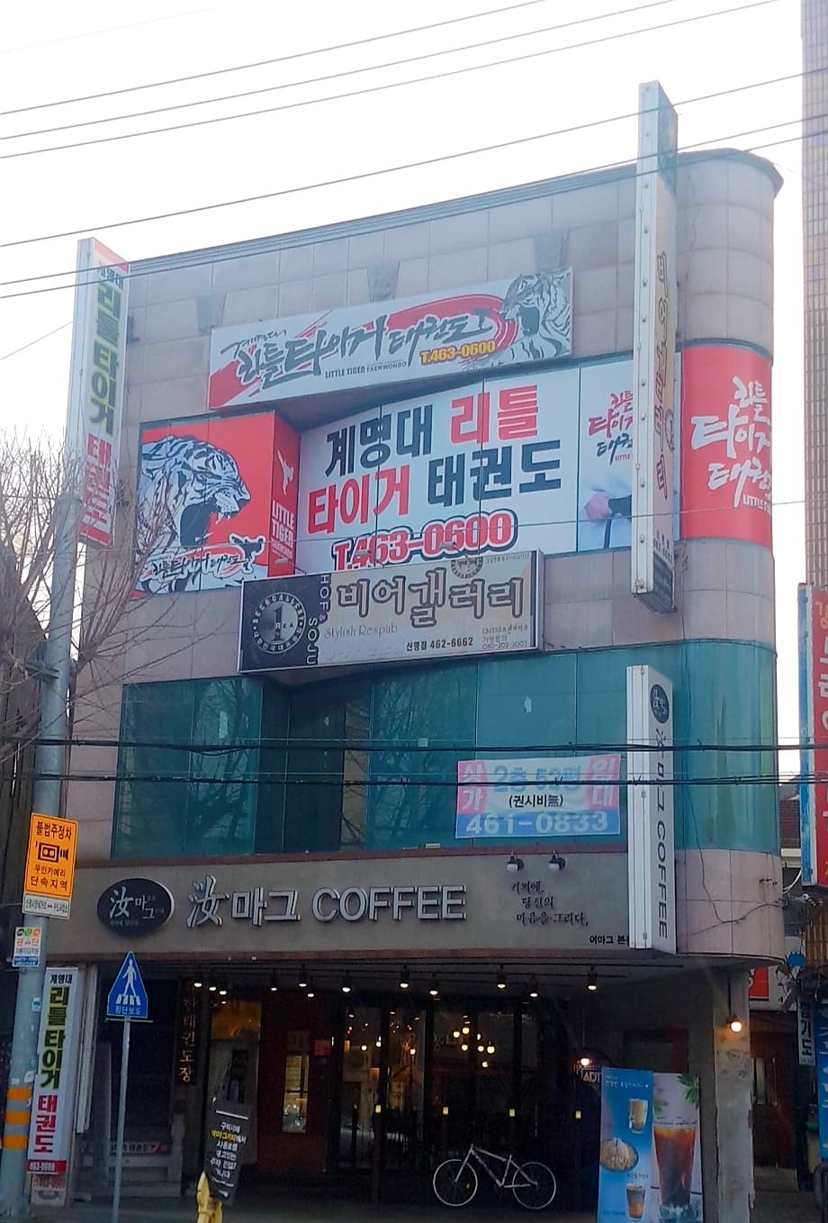 계명대리틀타이거 태권도 사진 4