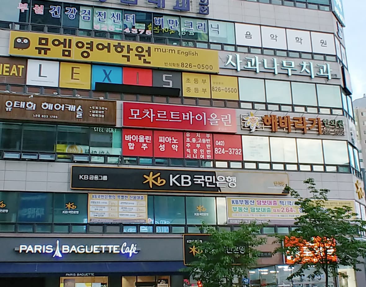 반석모차르트 바이올린 사진 8