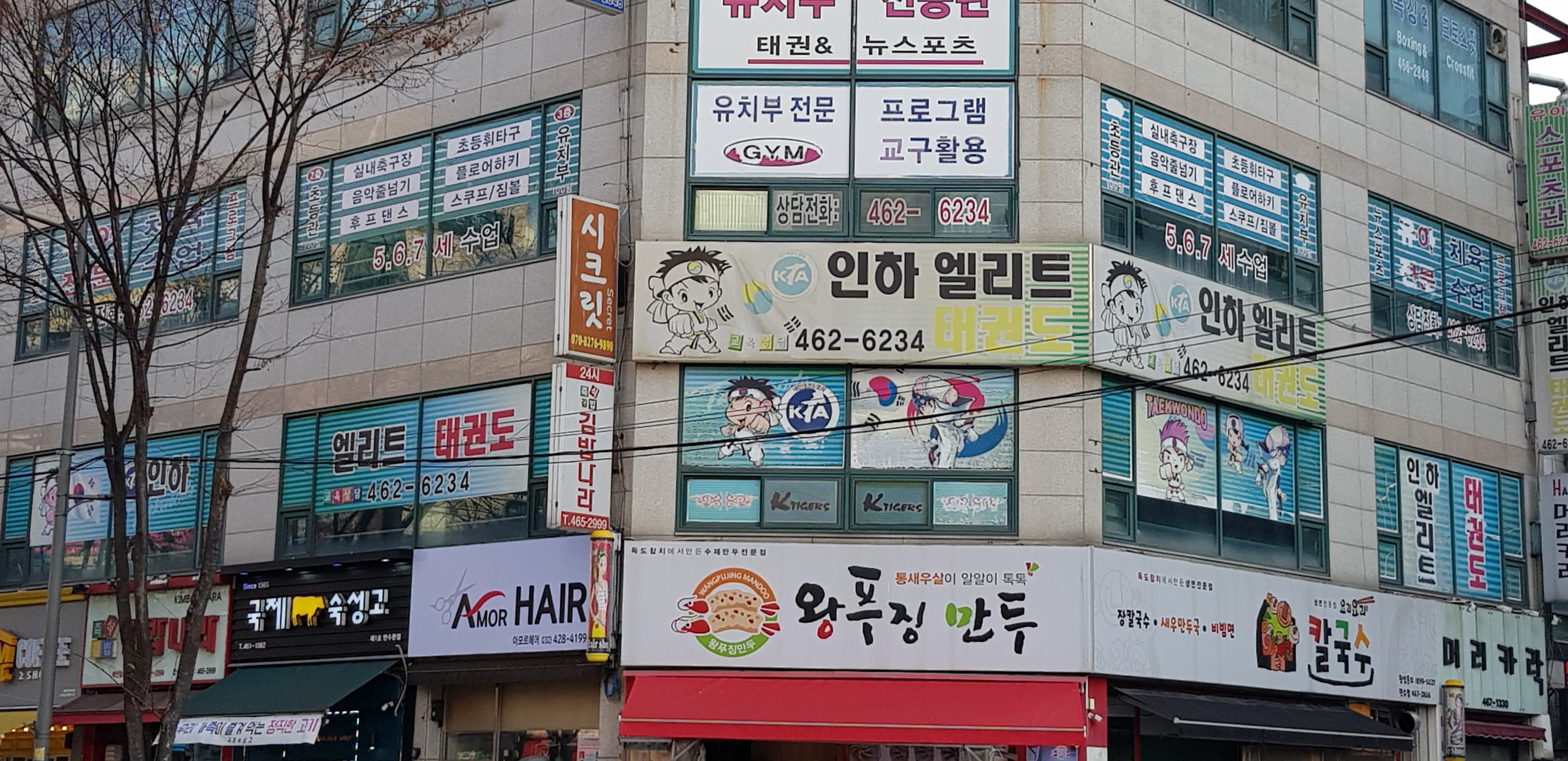 인하엘리트 태권도 사진 1