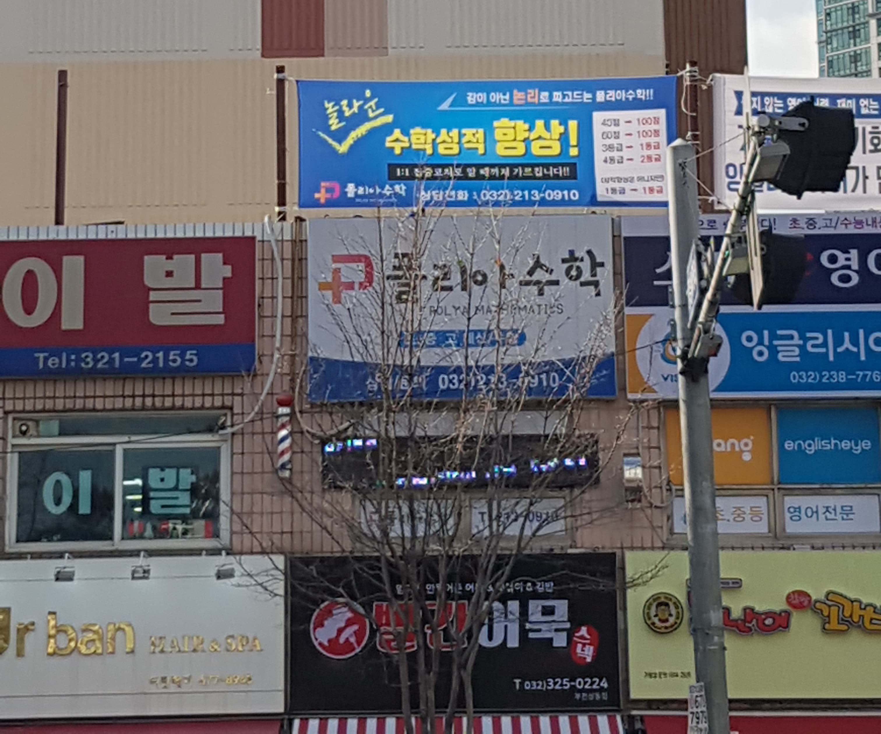 폴리아 수학 사진 2