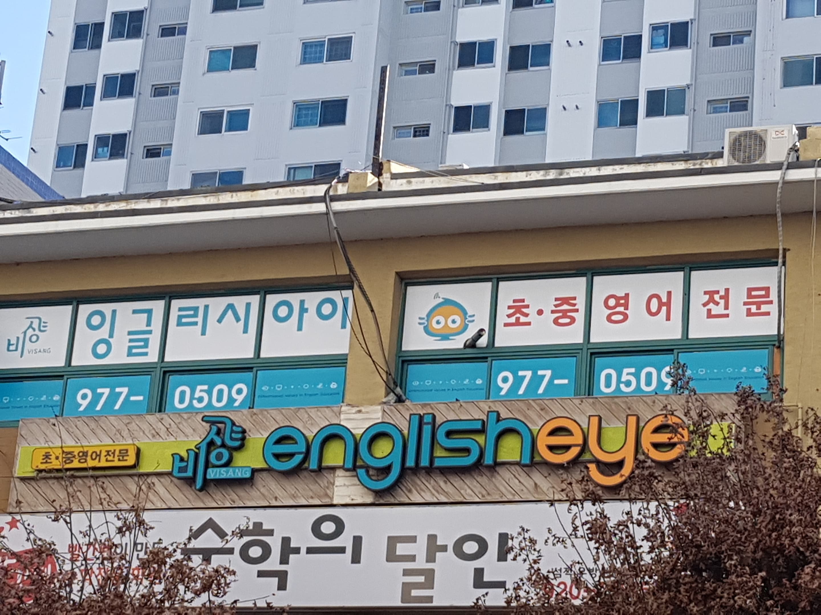 잉글리시아이 사진 1
