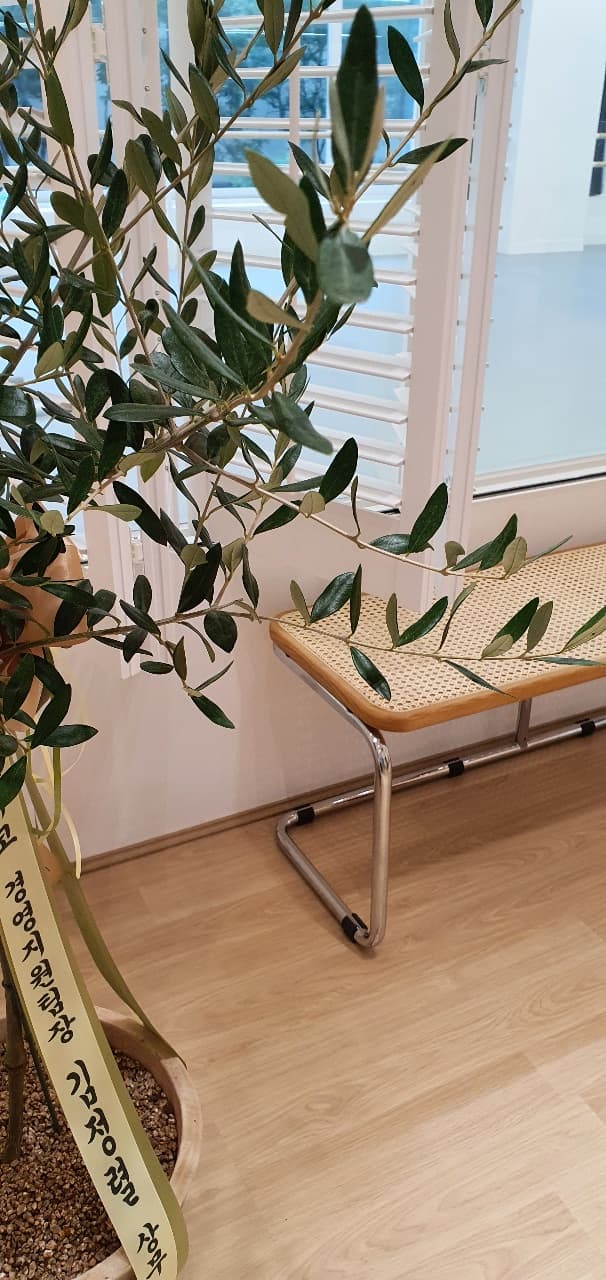 나비 발레학원 사진 10
