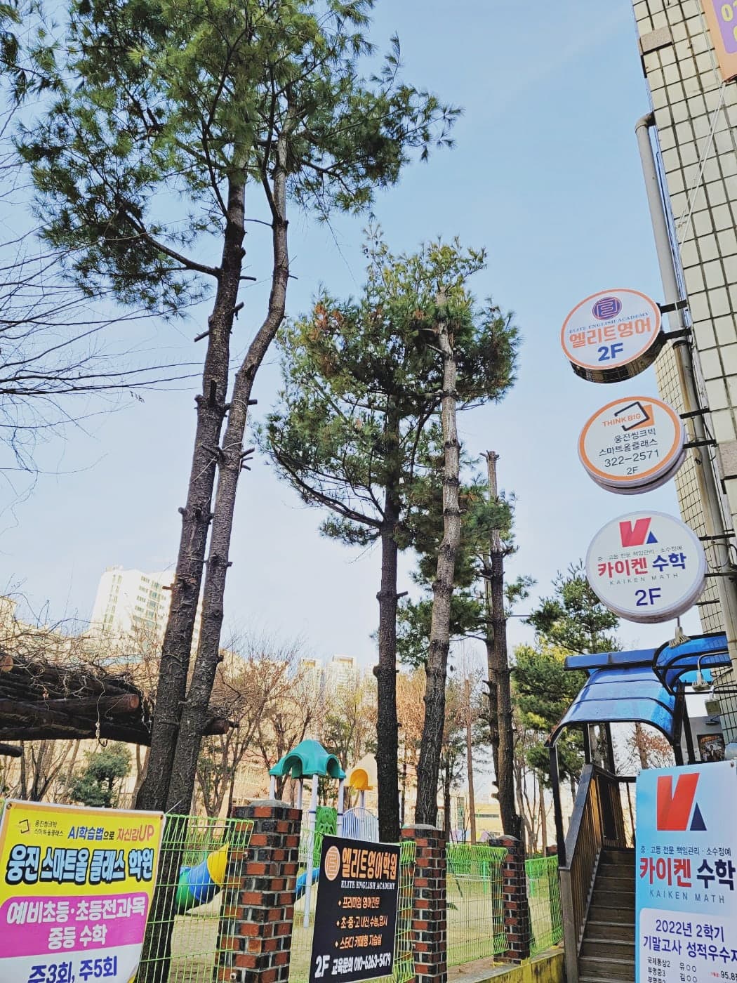 엘리트 영어보습학원 사진 10