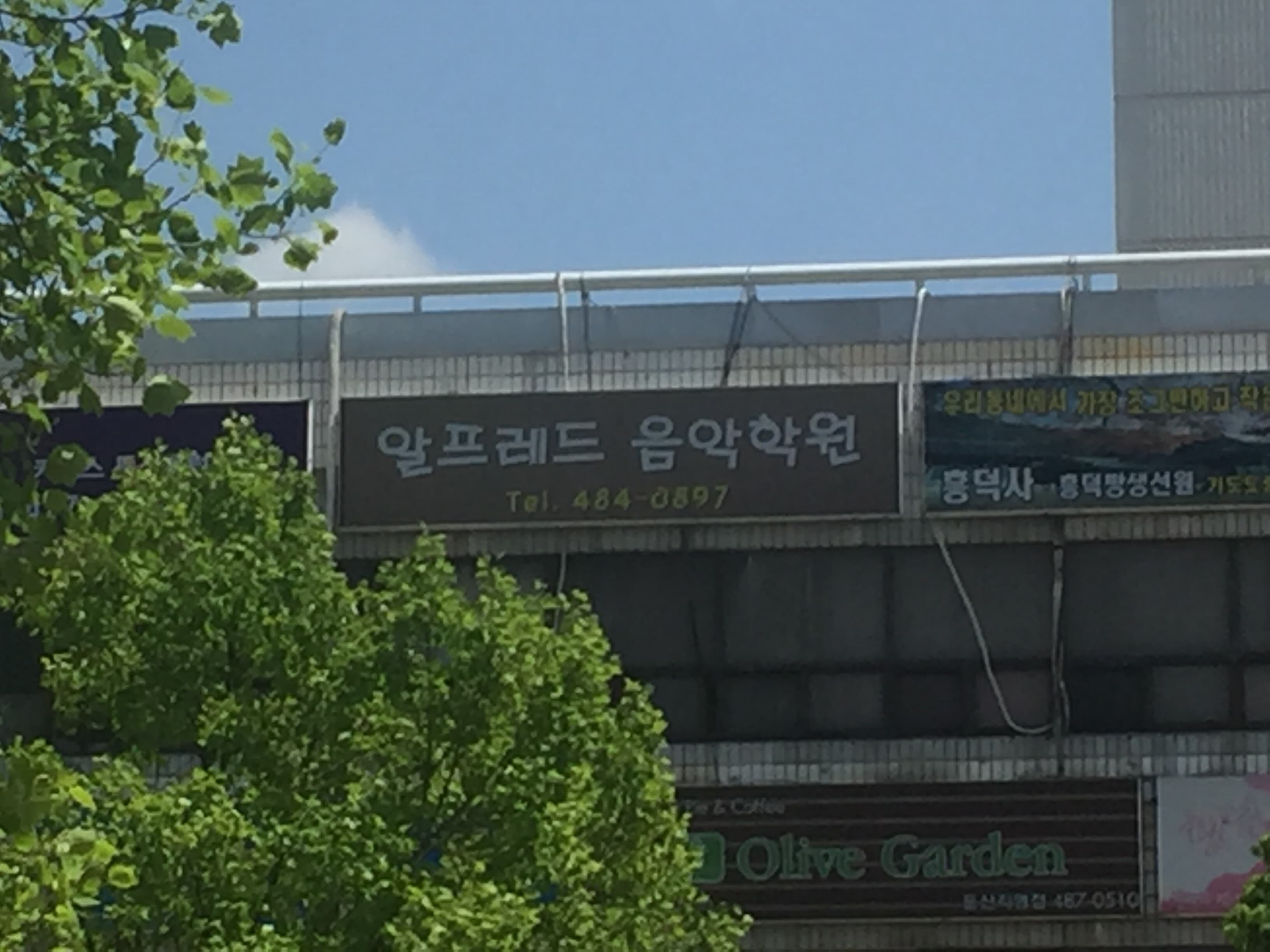 알프레드 음악학원 사진 1