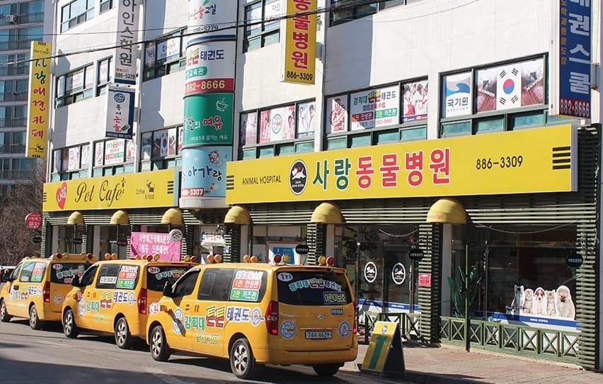 유나이티드경희대힘차리 태권도장 사진 3