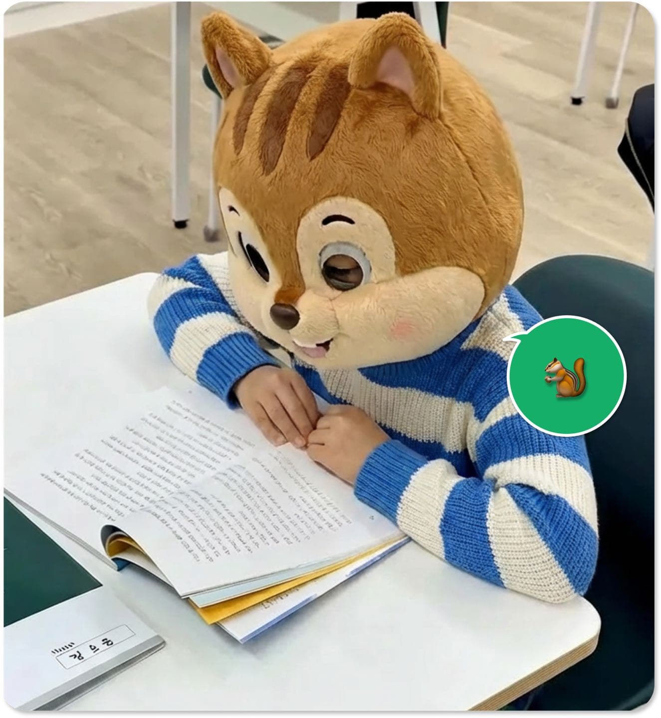 책나무 가락중앙점 사진 12