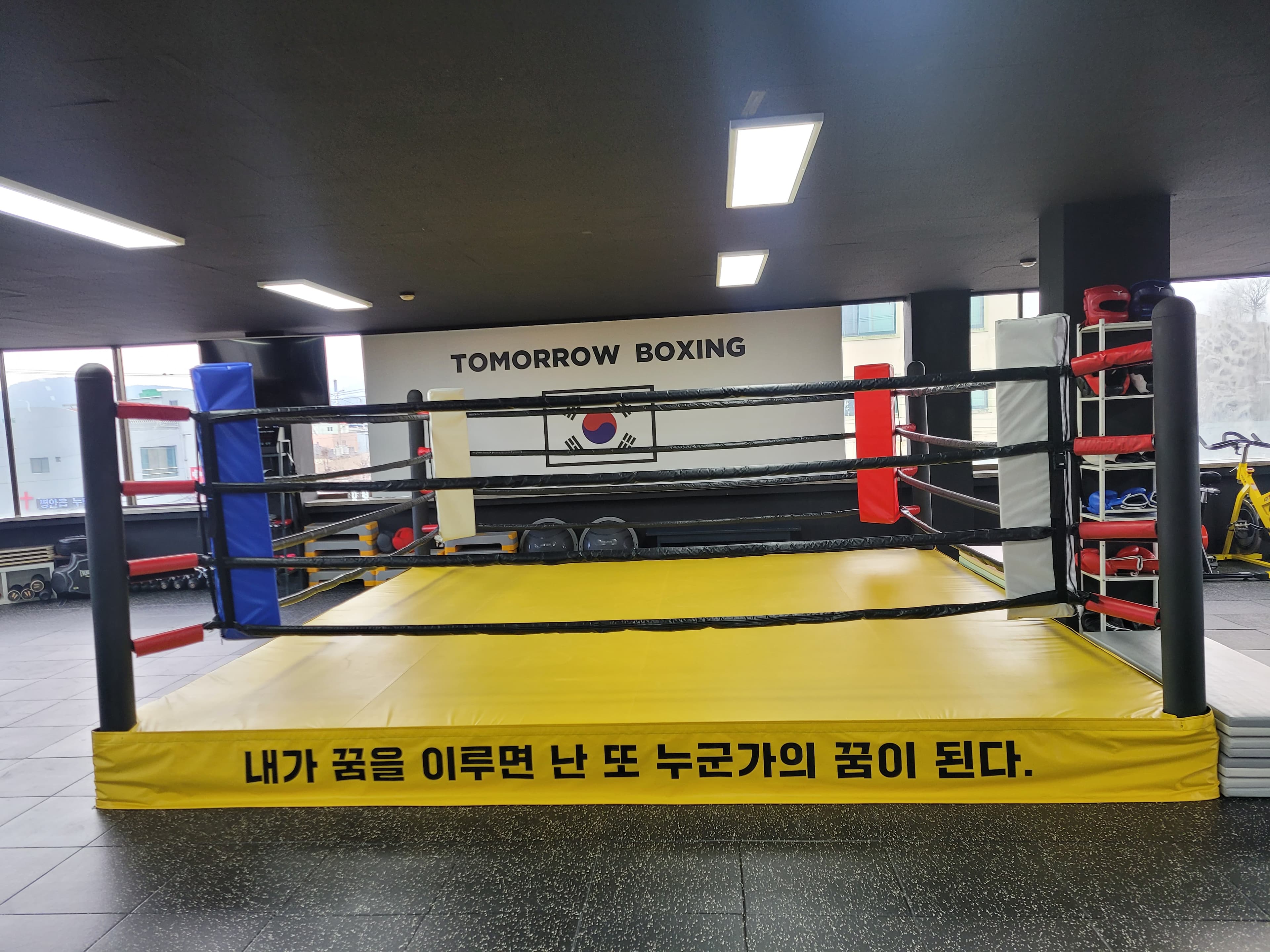 내일 복싱 사진 5