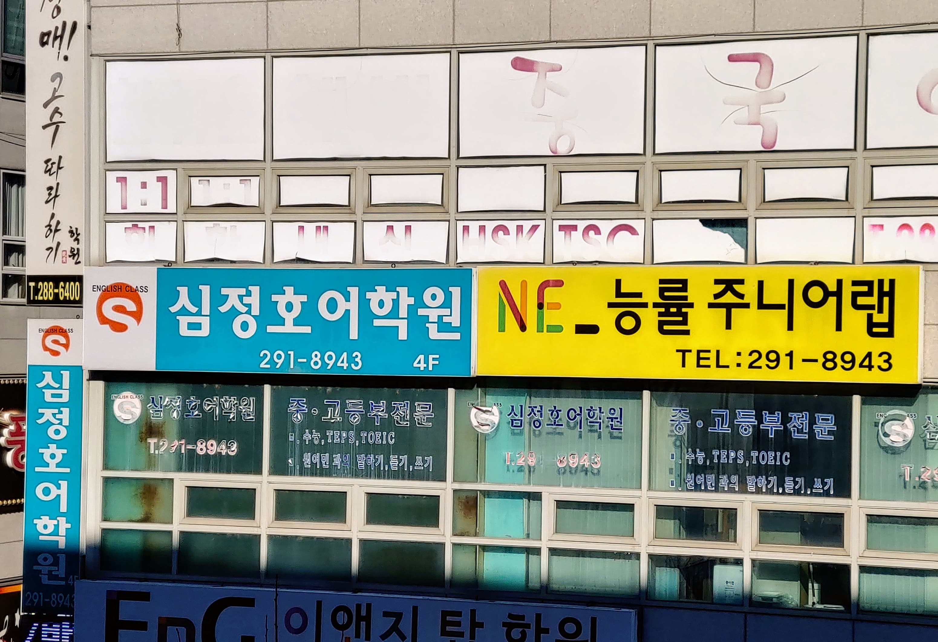 심정호 어학원 사진 6