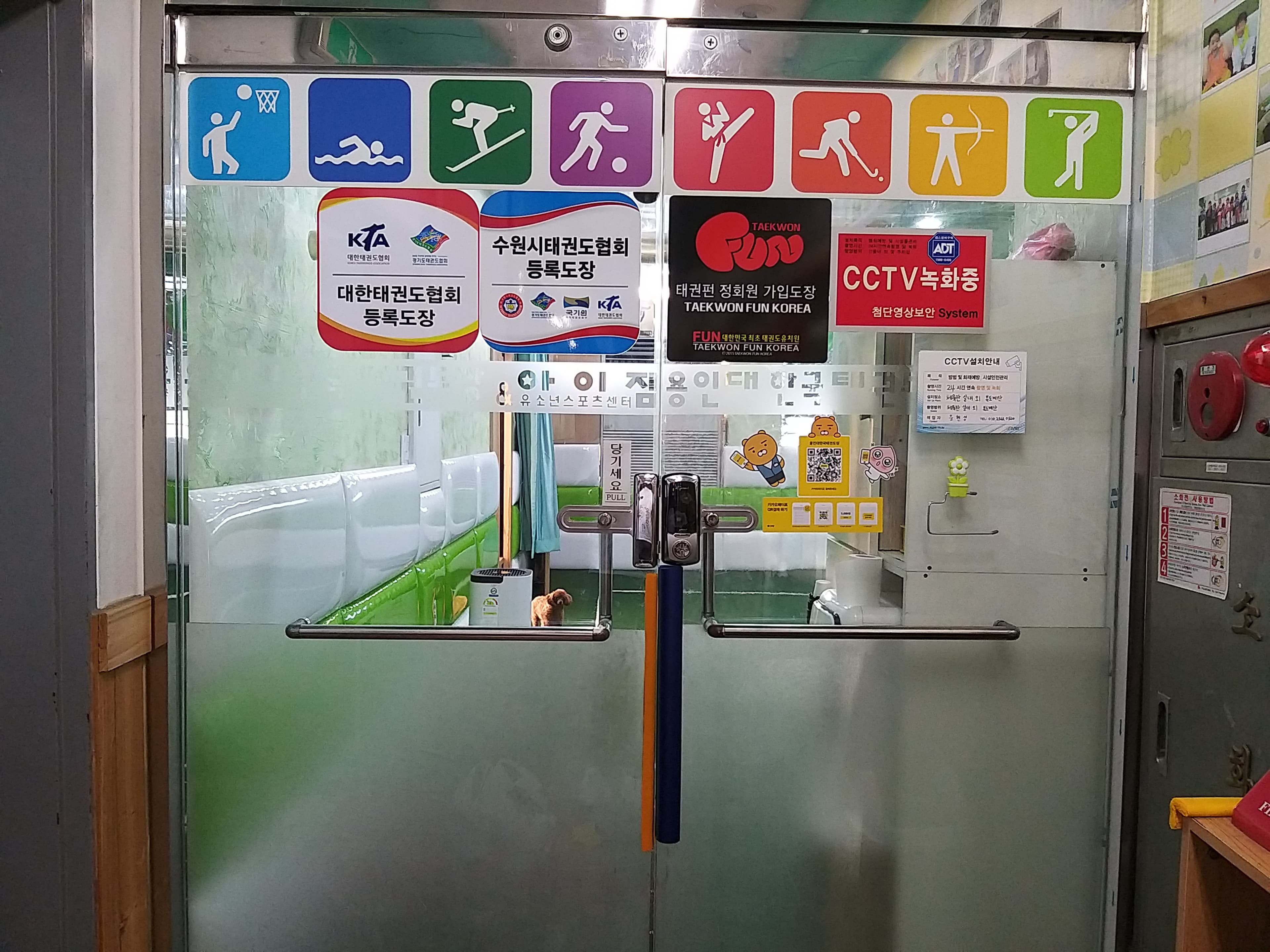 용인대한국 태권도장 사진 5