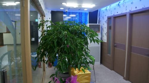 더베스트 수학학원 사진 8