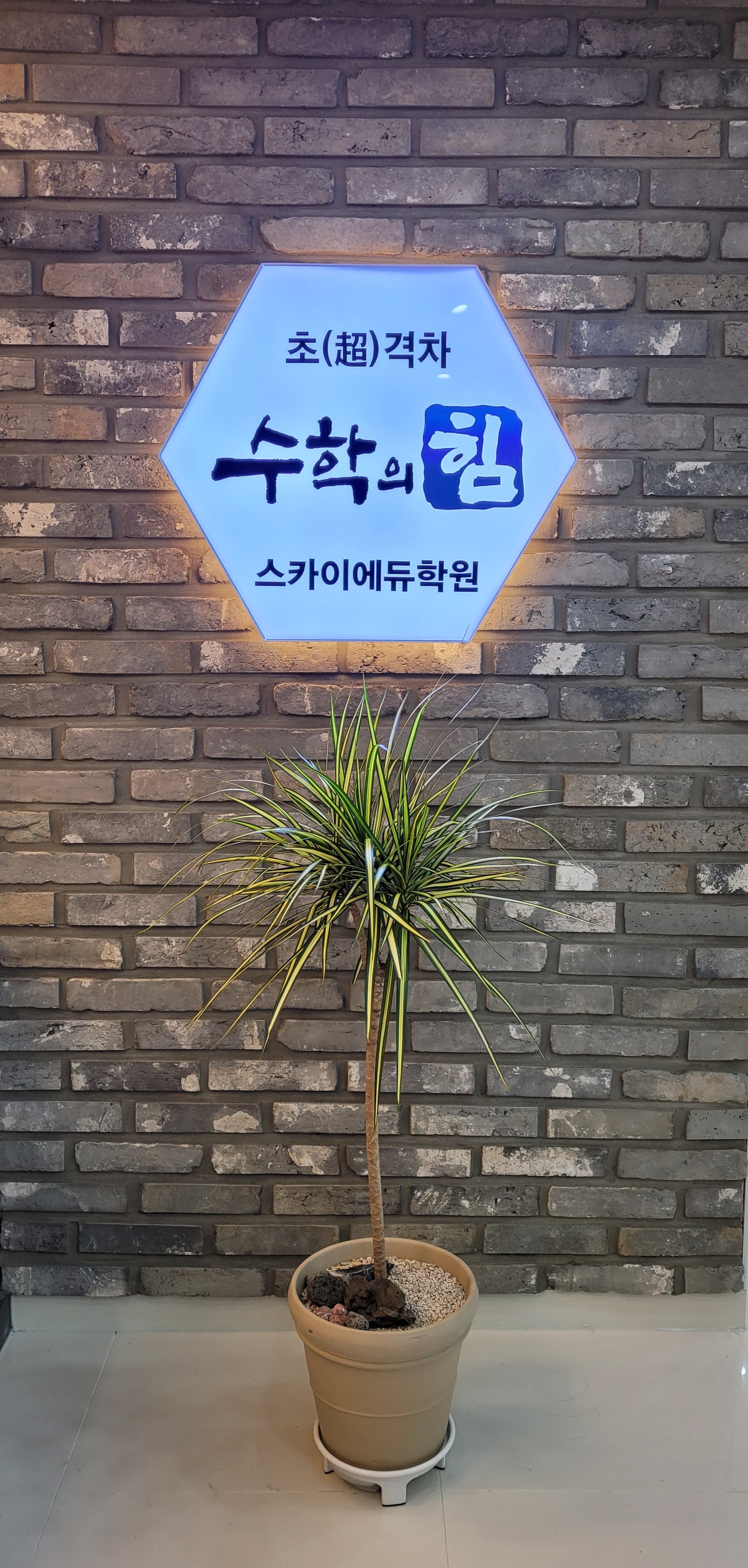 수학의힘 외대HS어학원 대전노은 사진 3