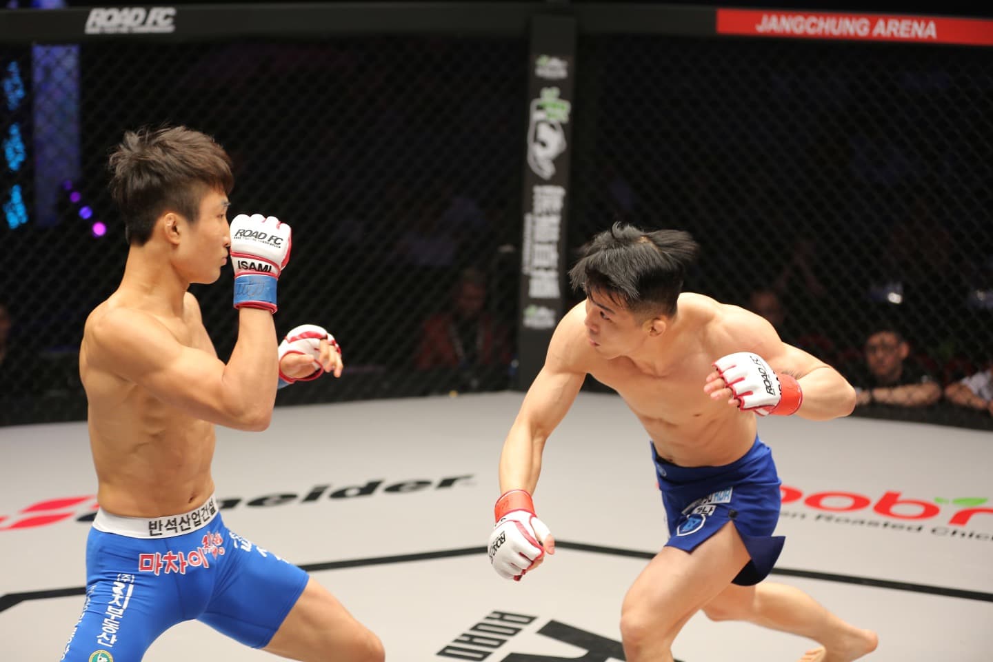 영짐 MMA주짓수 킥복싱 사진 5