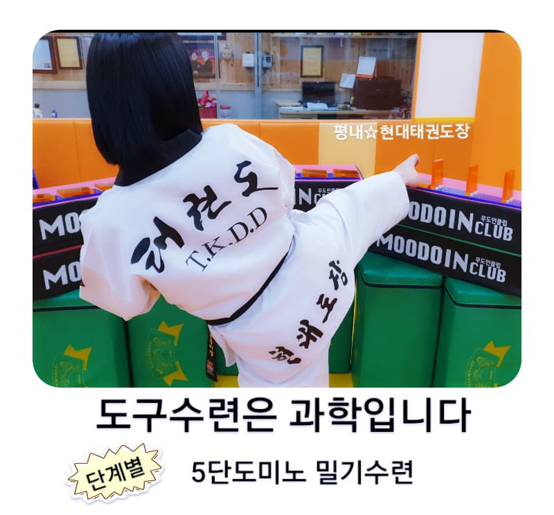 현대 태권도디펜스&시니어,성인태권도&슈퍼점프줄넘기 사진 3