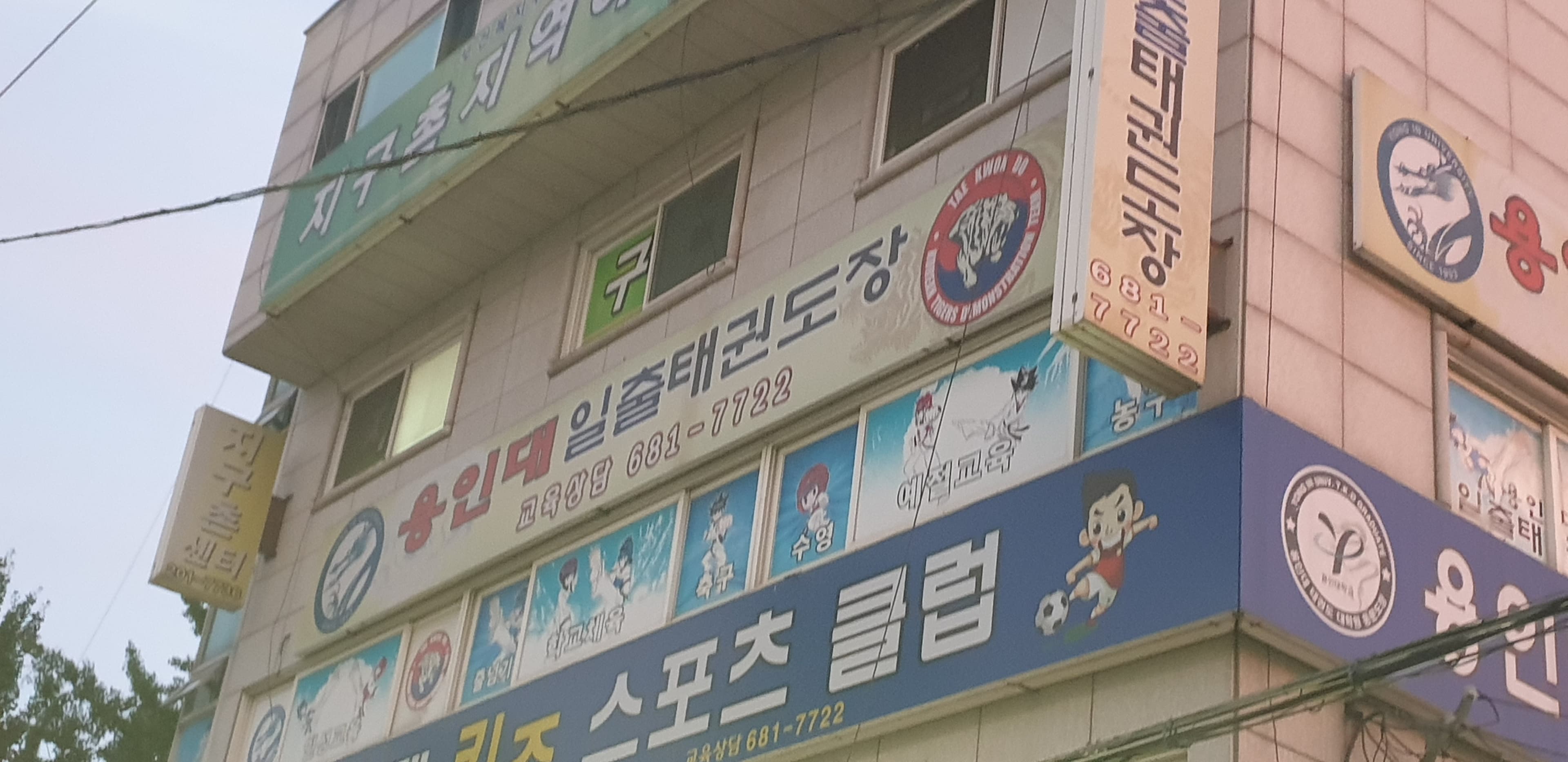 용인대일출 태권도장 사진 1