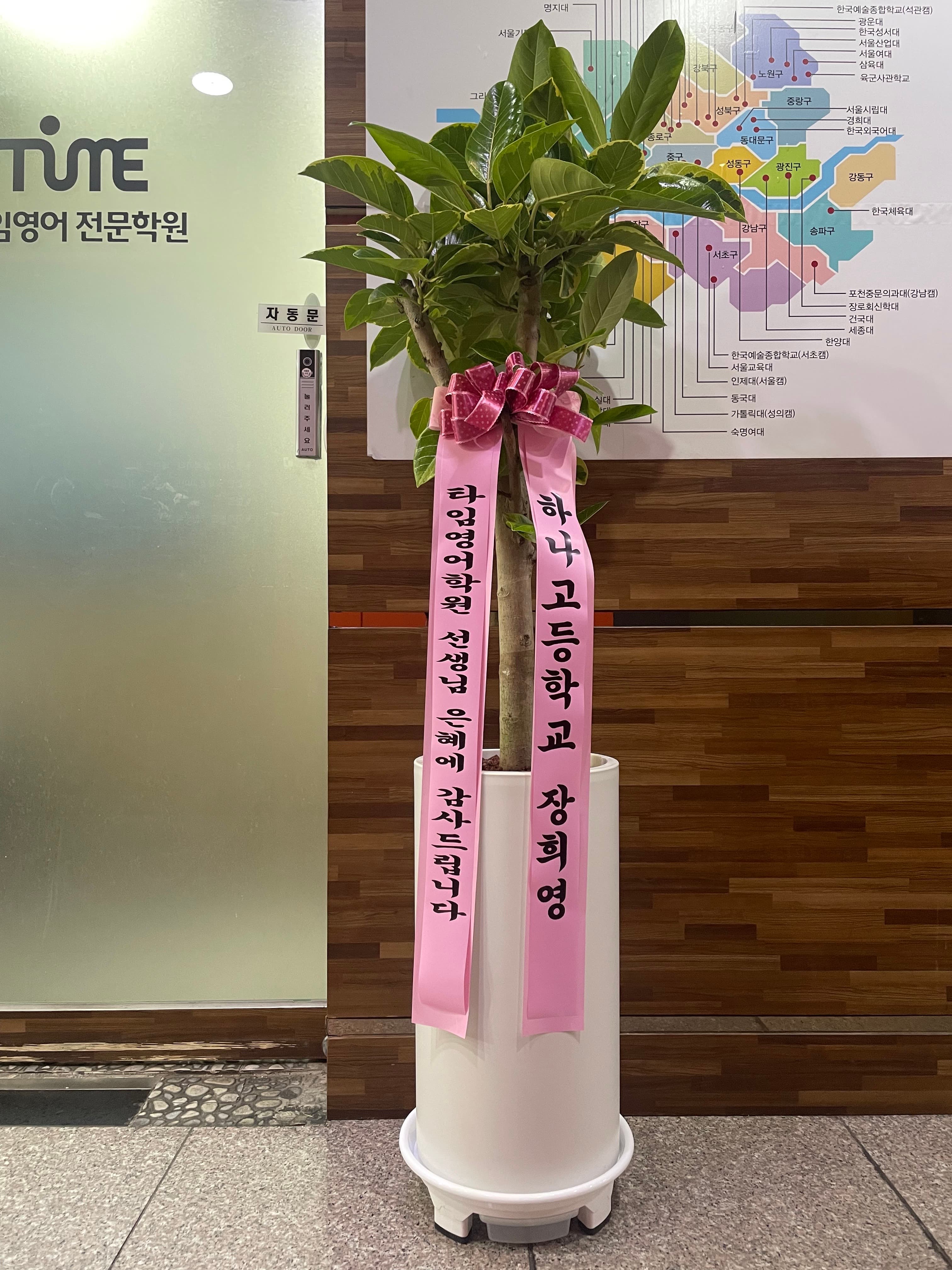 타임 영어전문학원 사진 2