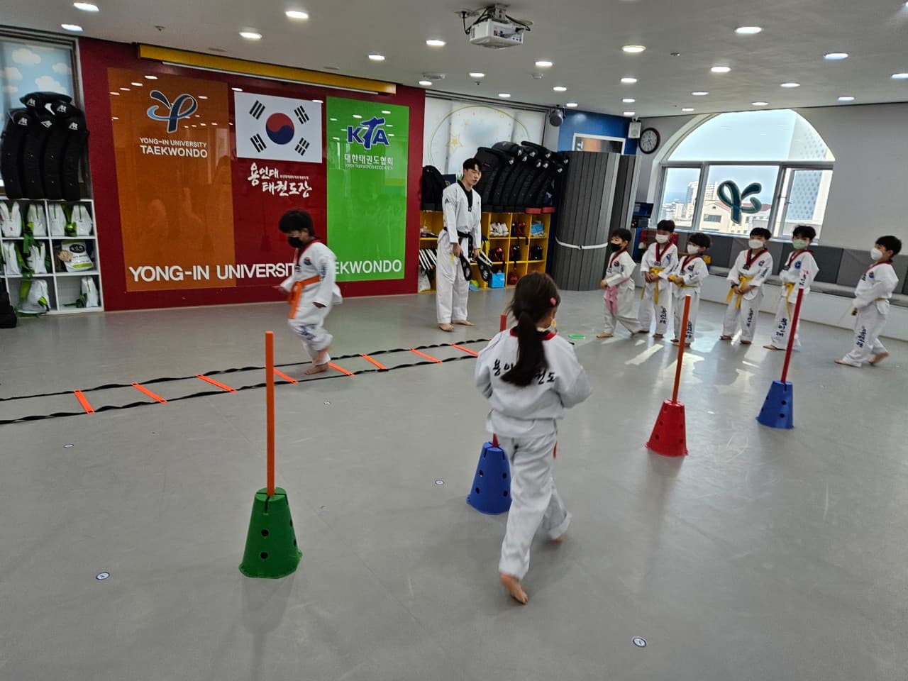 용인대 태권도장 사진 1