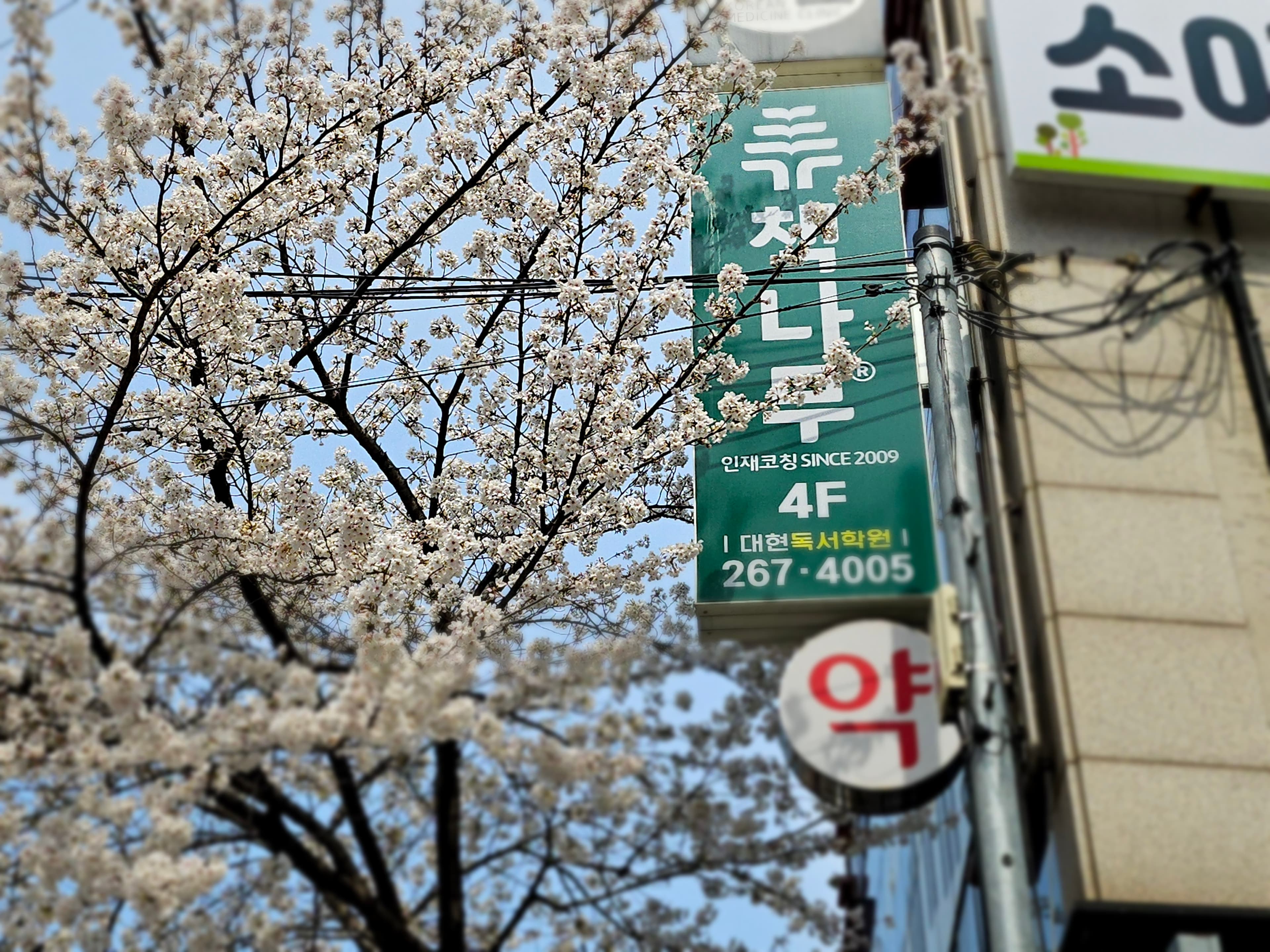 책나무 대현점 사진 1