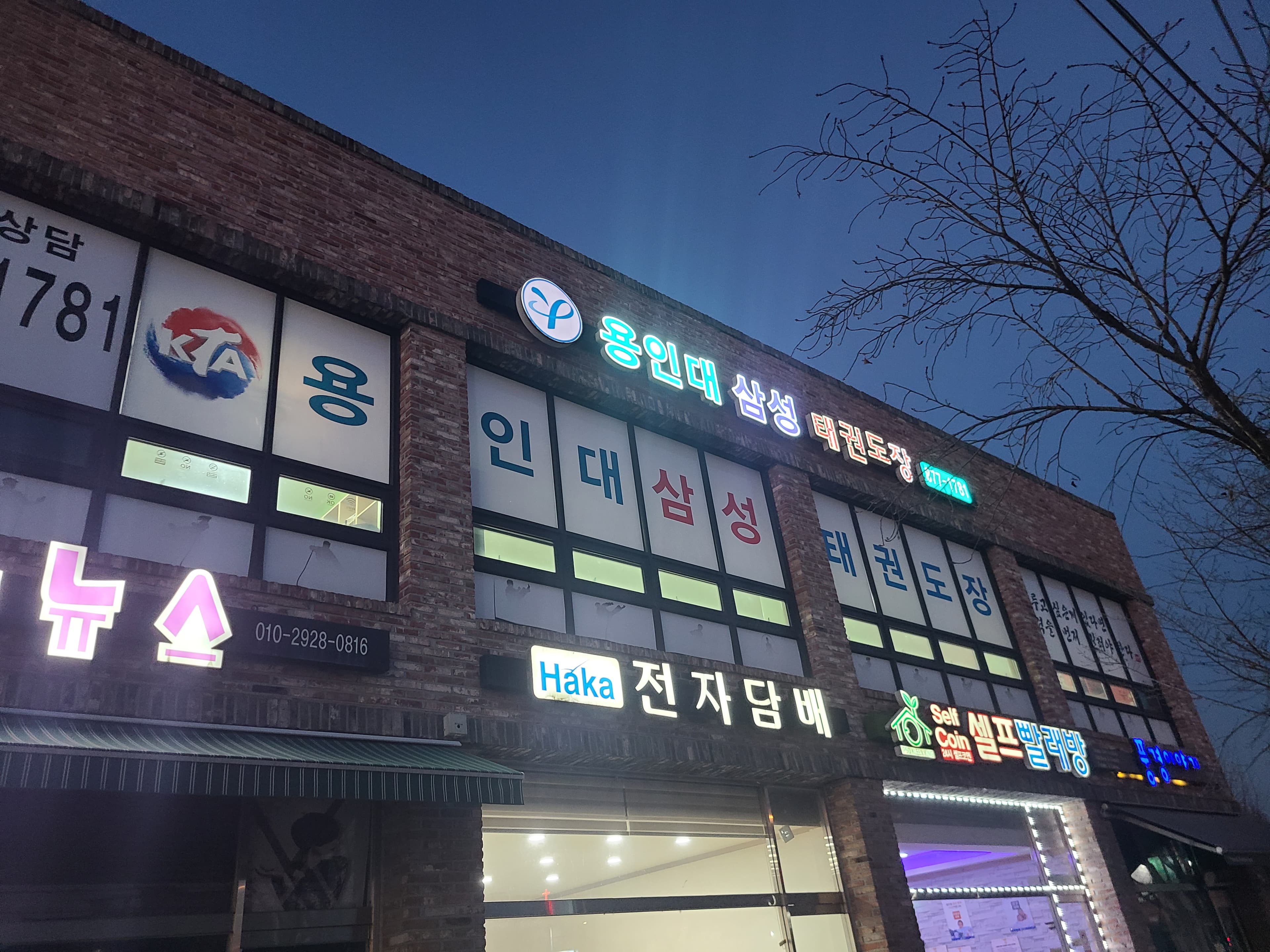 용인대 삼성 태권도 사진 2