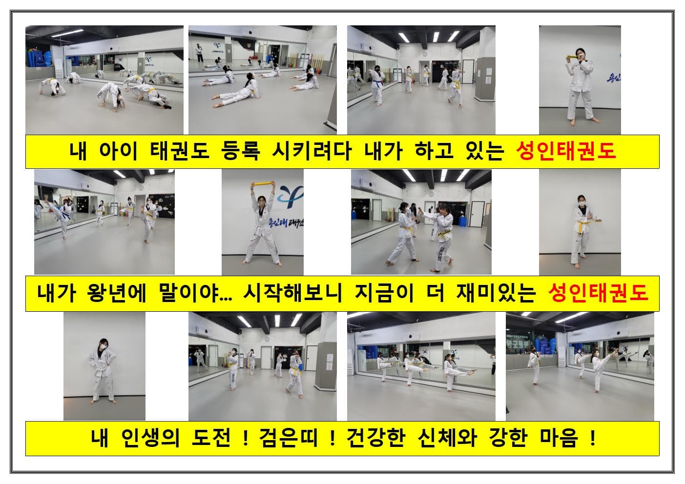 용인대 태권도 사진 6
