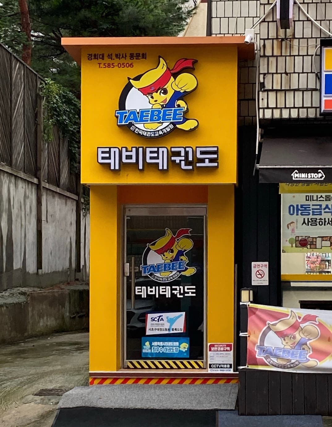 태비 태권도 사진 3