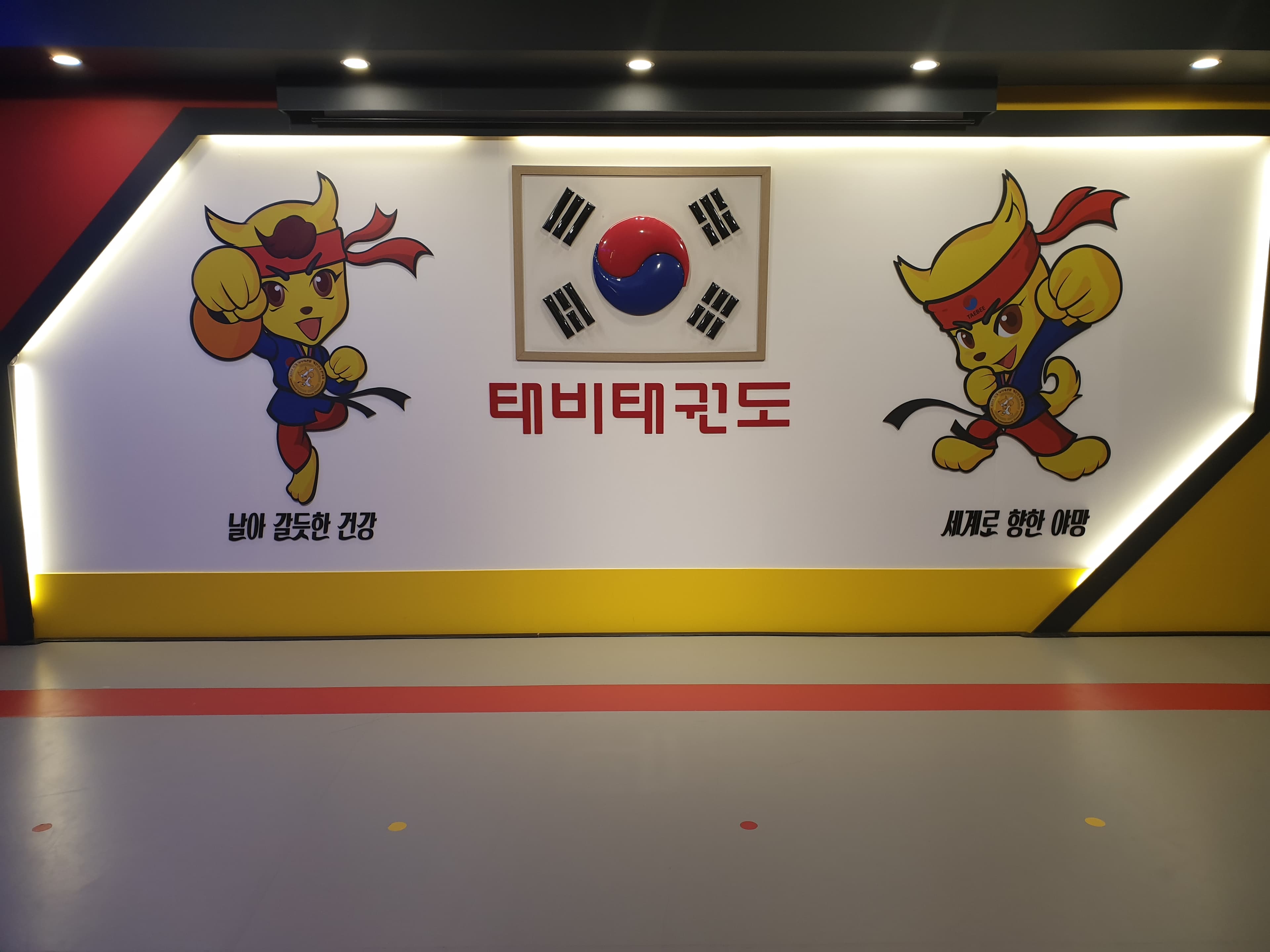 태비 태권도 사진 2
