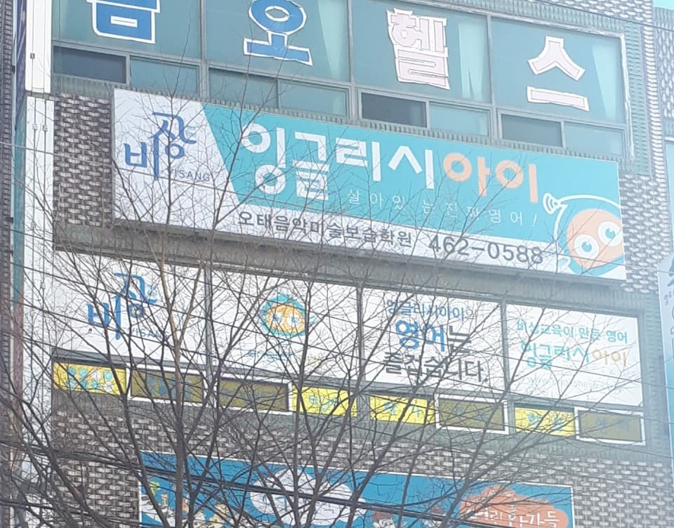 잉글리시 아이 사진 3