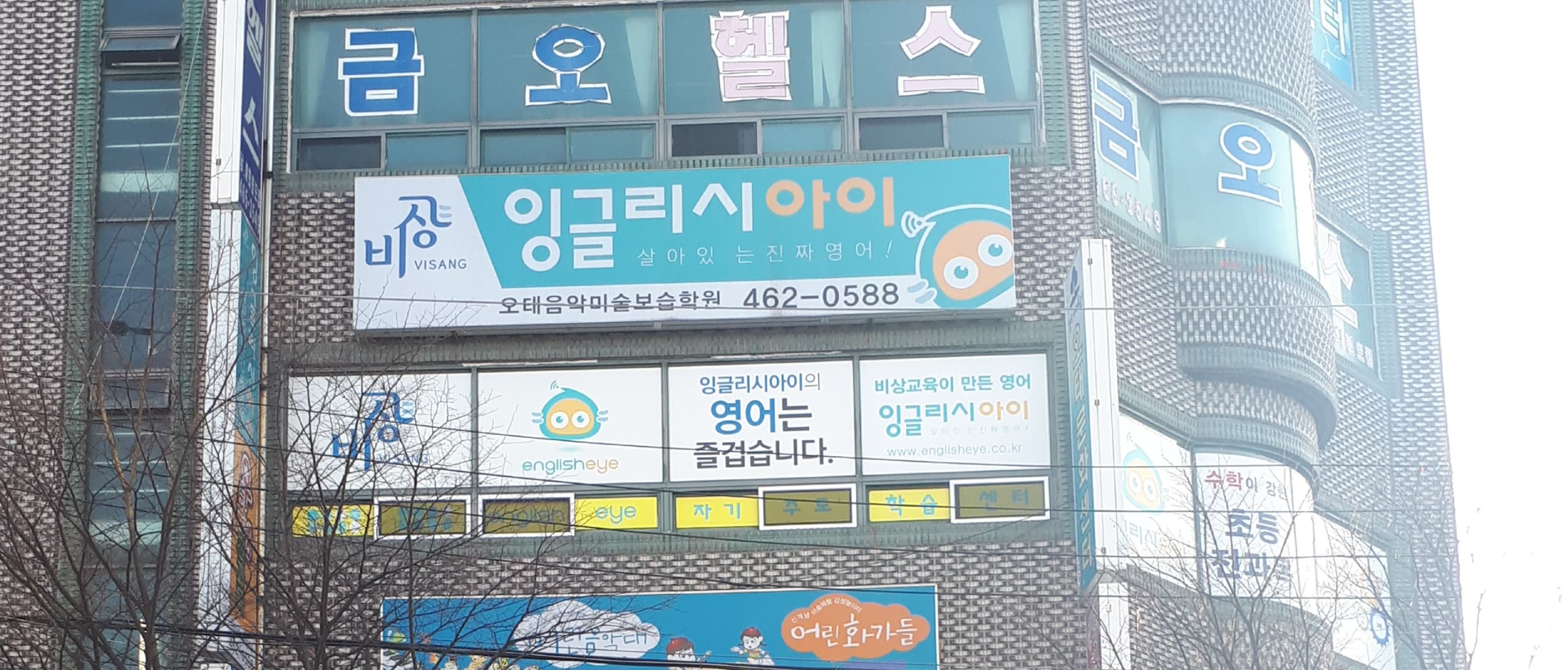 잉글리시 아이 사진 1