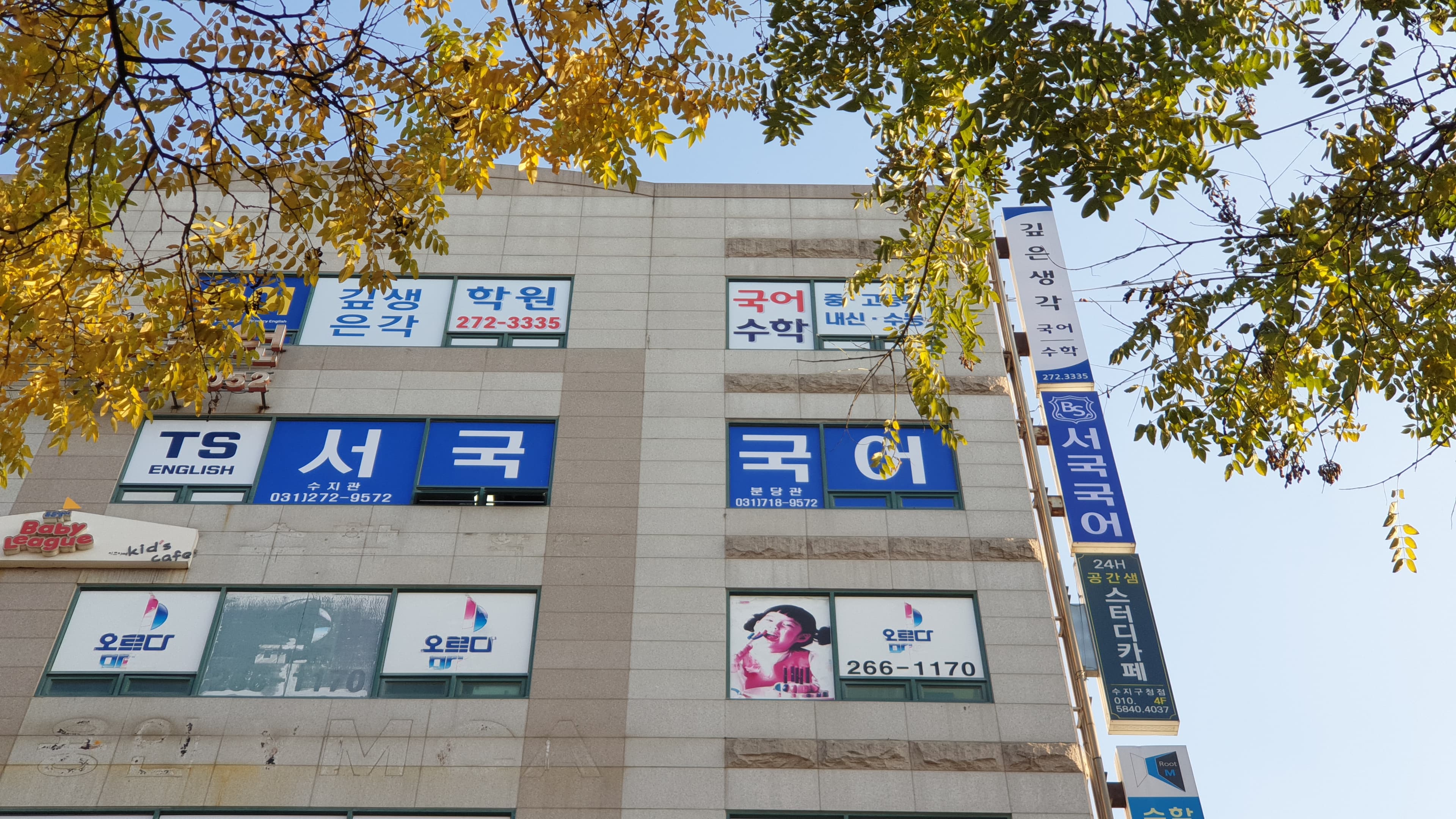 비법스터디 서국 국어논술학원 수지 사진 5