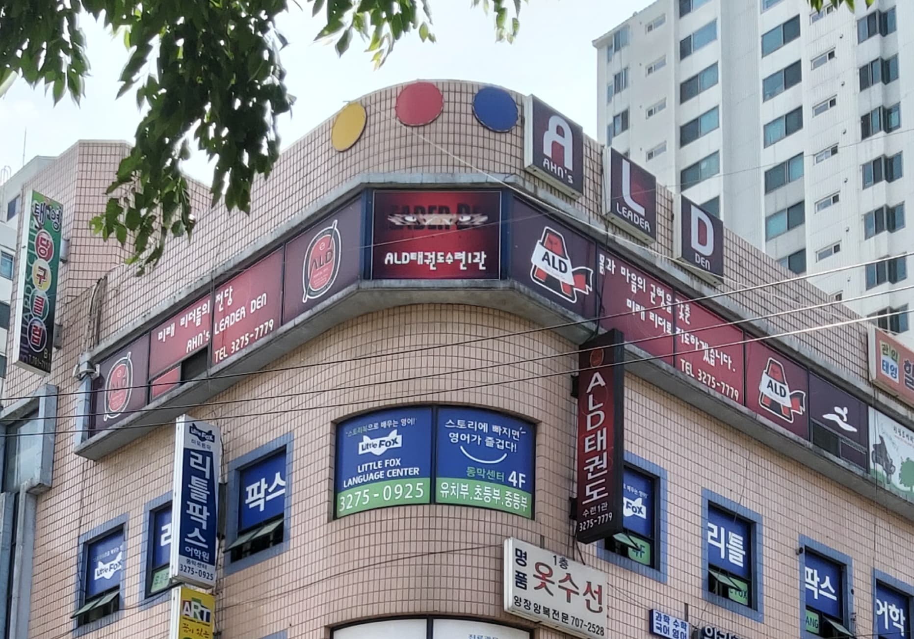 ALD 태권도 수련1관 사진 1