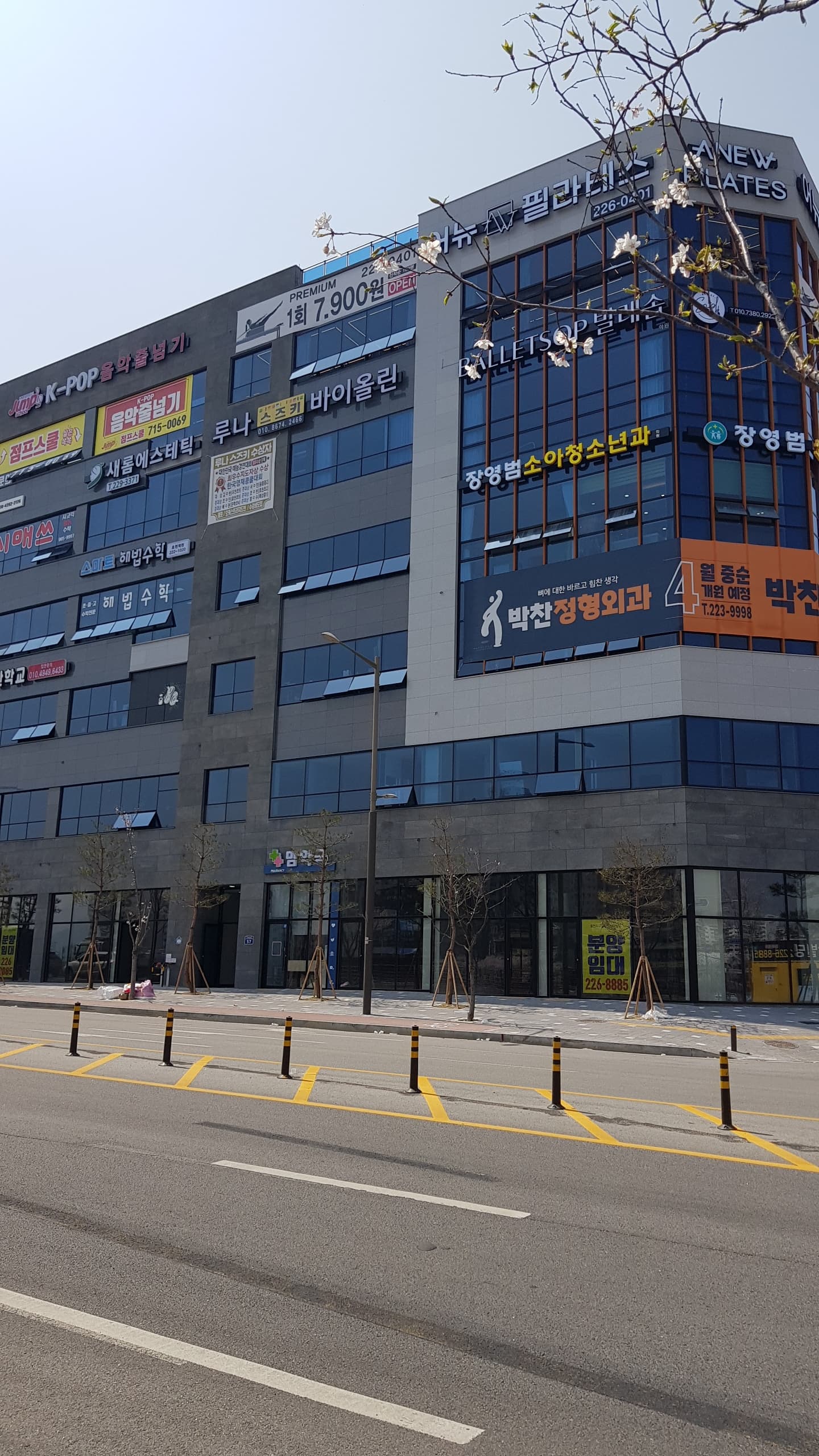 루나스즈키바이올린 사진 6
