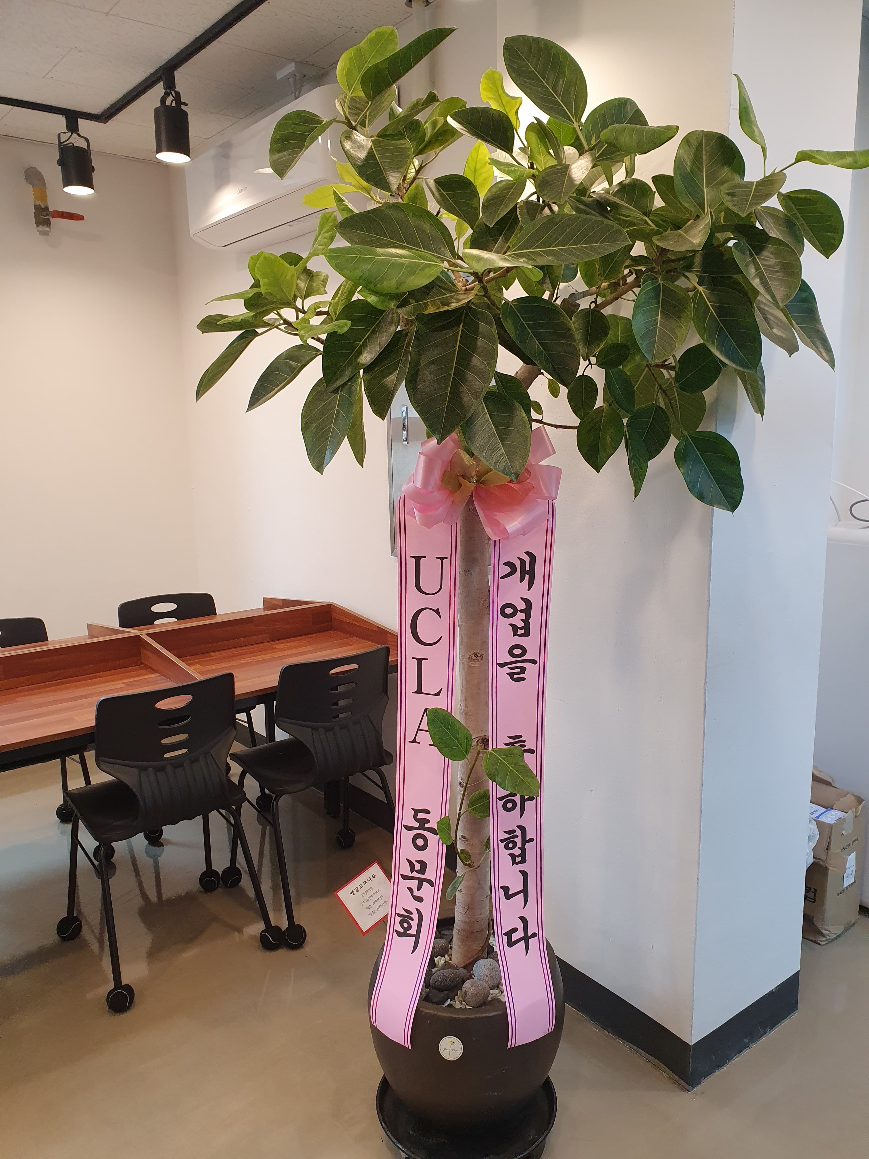 GnS 영수학원 사진 4