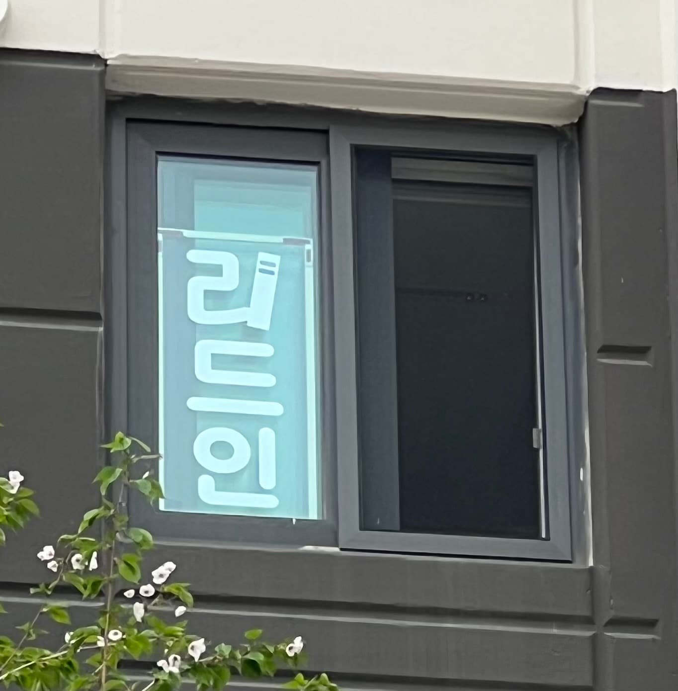 리드인 개원초점 사진 3