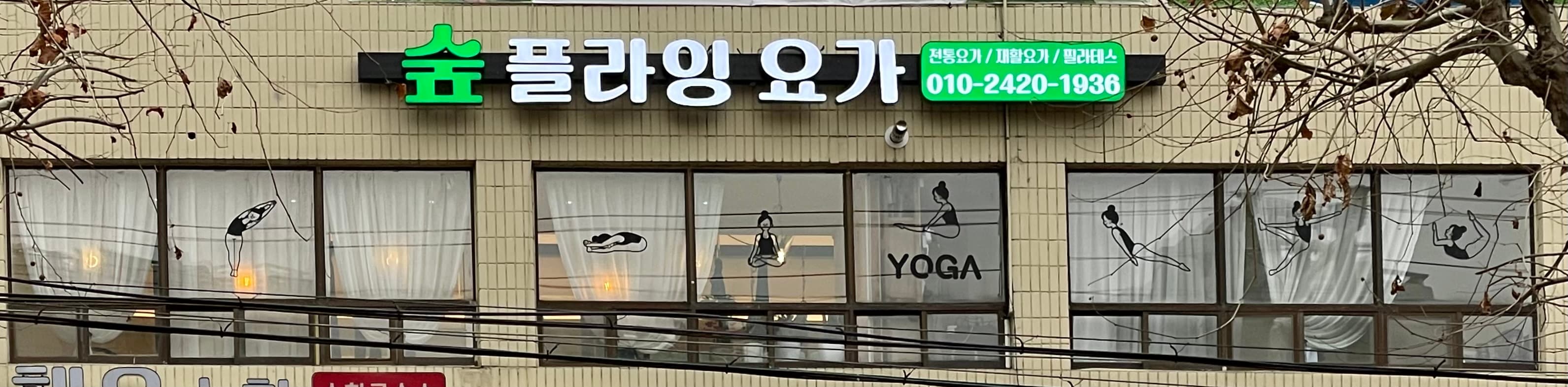 숲 플라잉 요가 사진 2