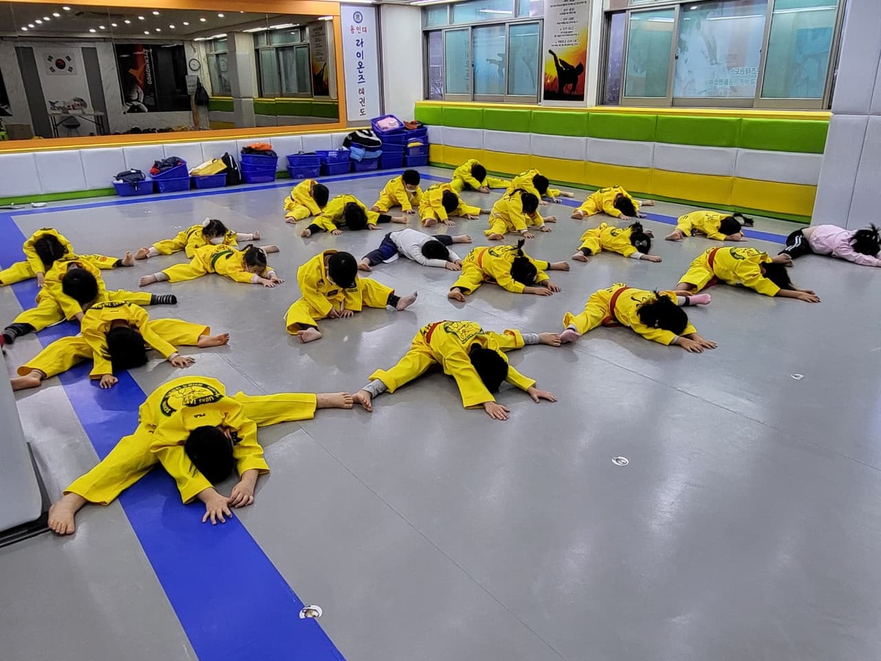 라이온즈 태권도 사진 1