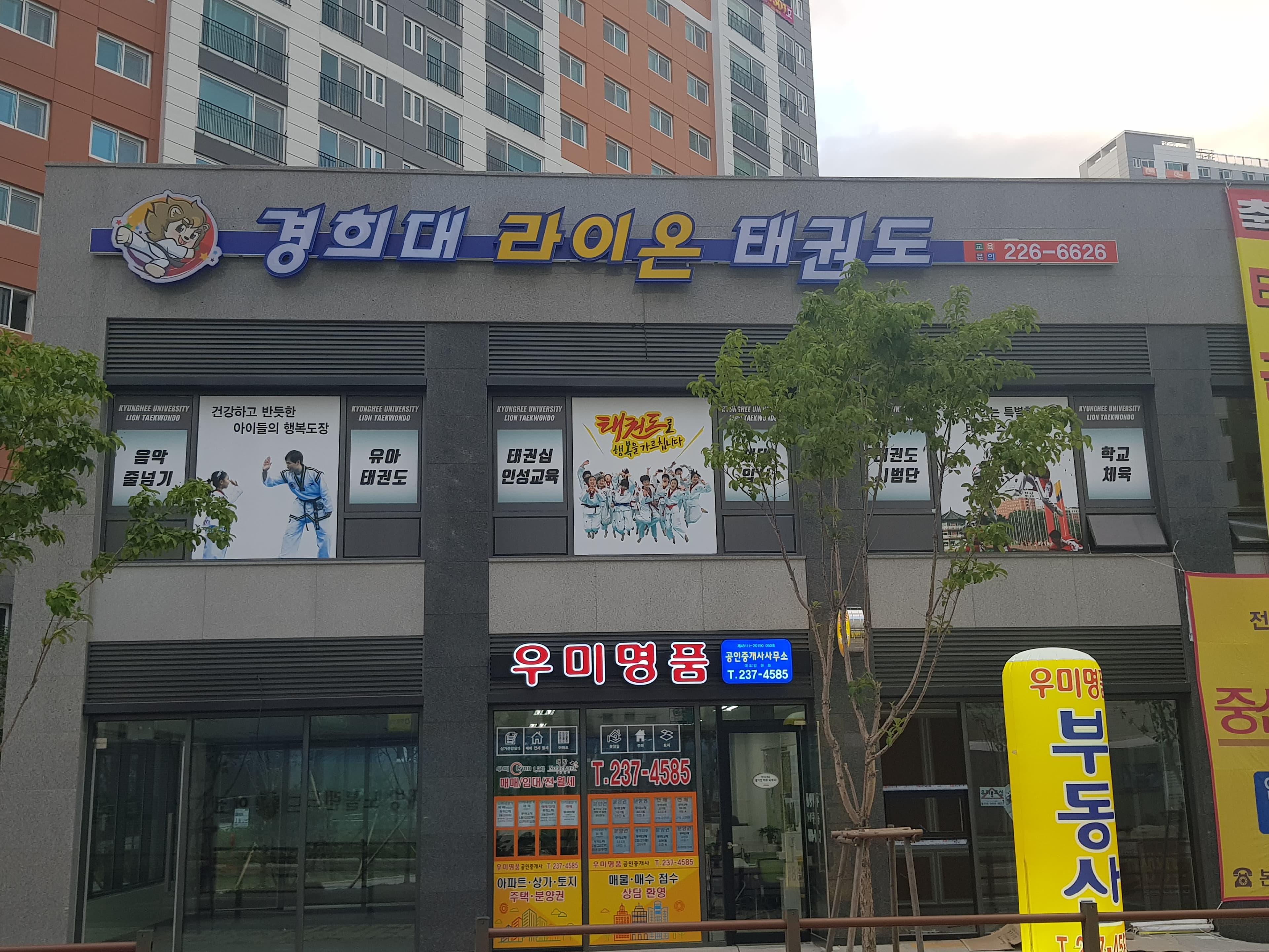 경희대라이온 태권도 사진 5