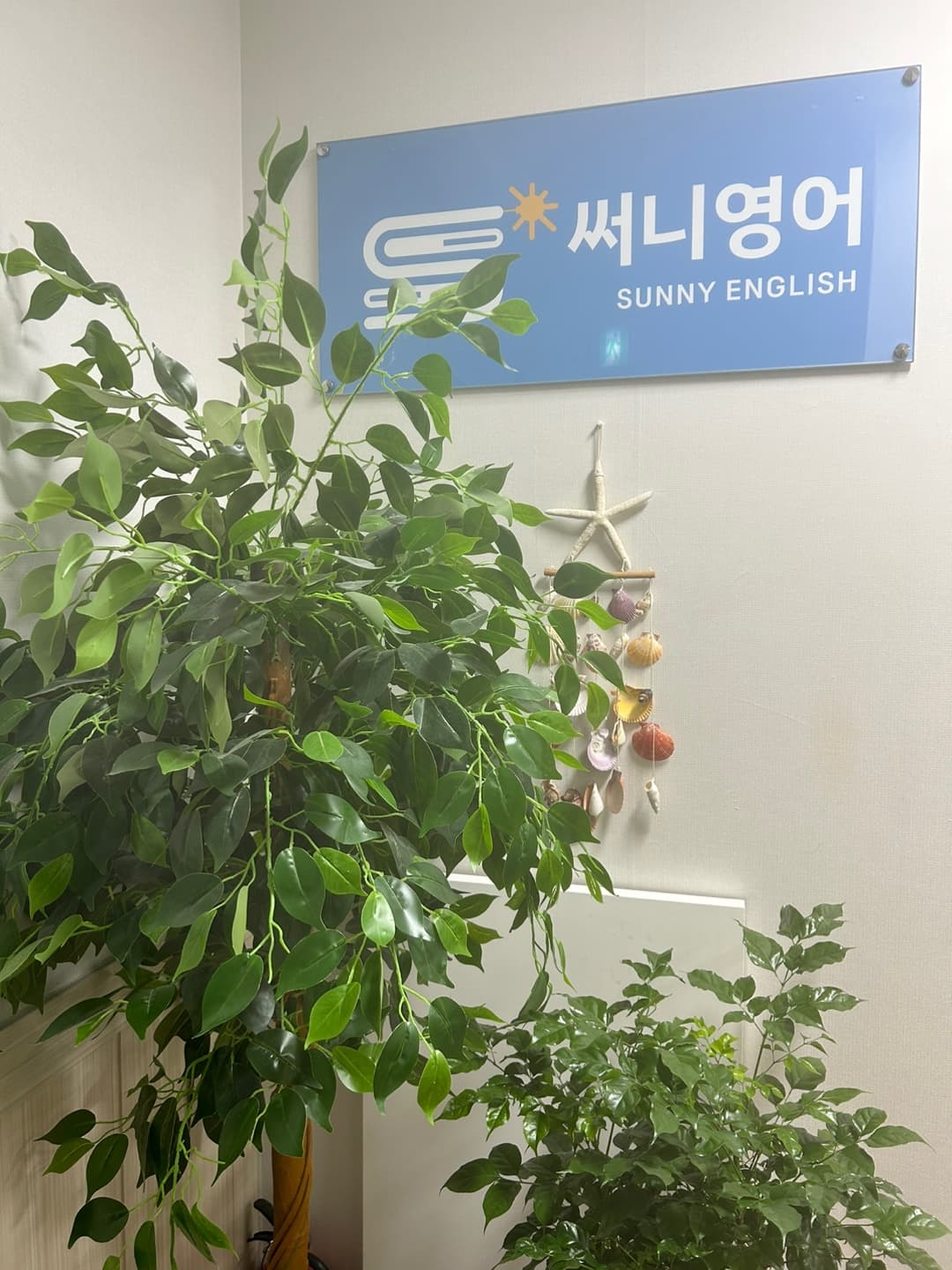써니 영어 사진 5