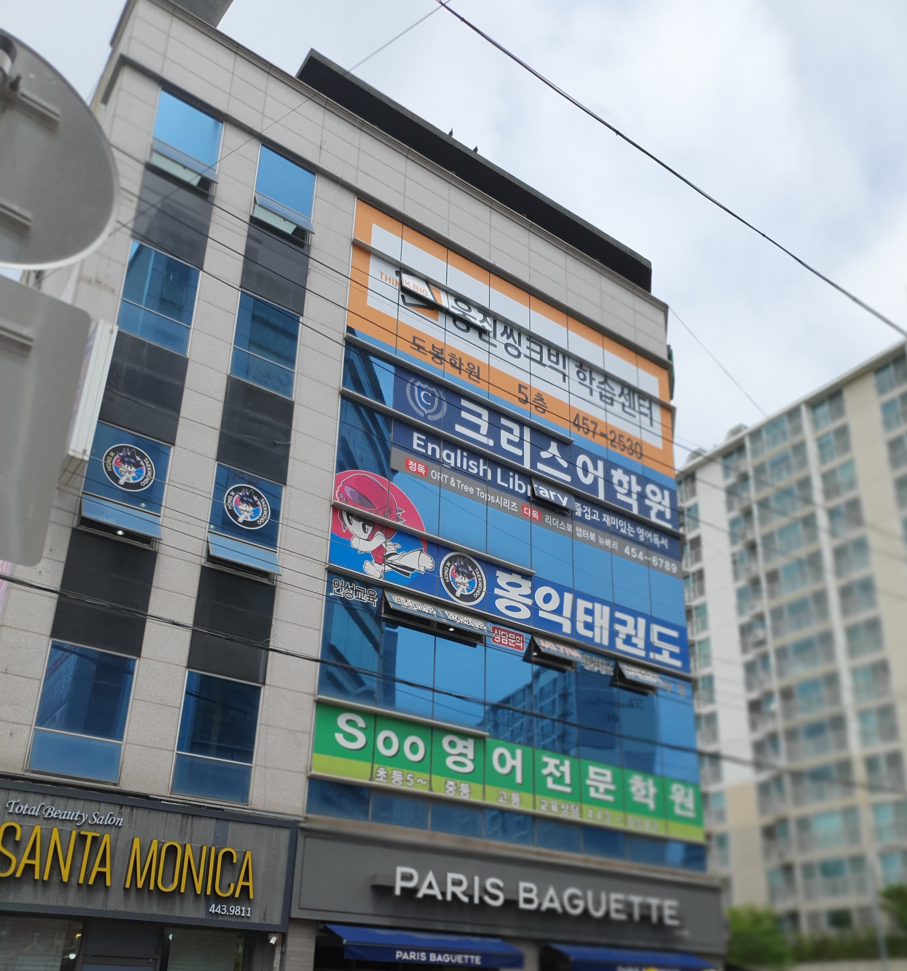 홍익 태권도장 사진 1