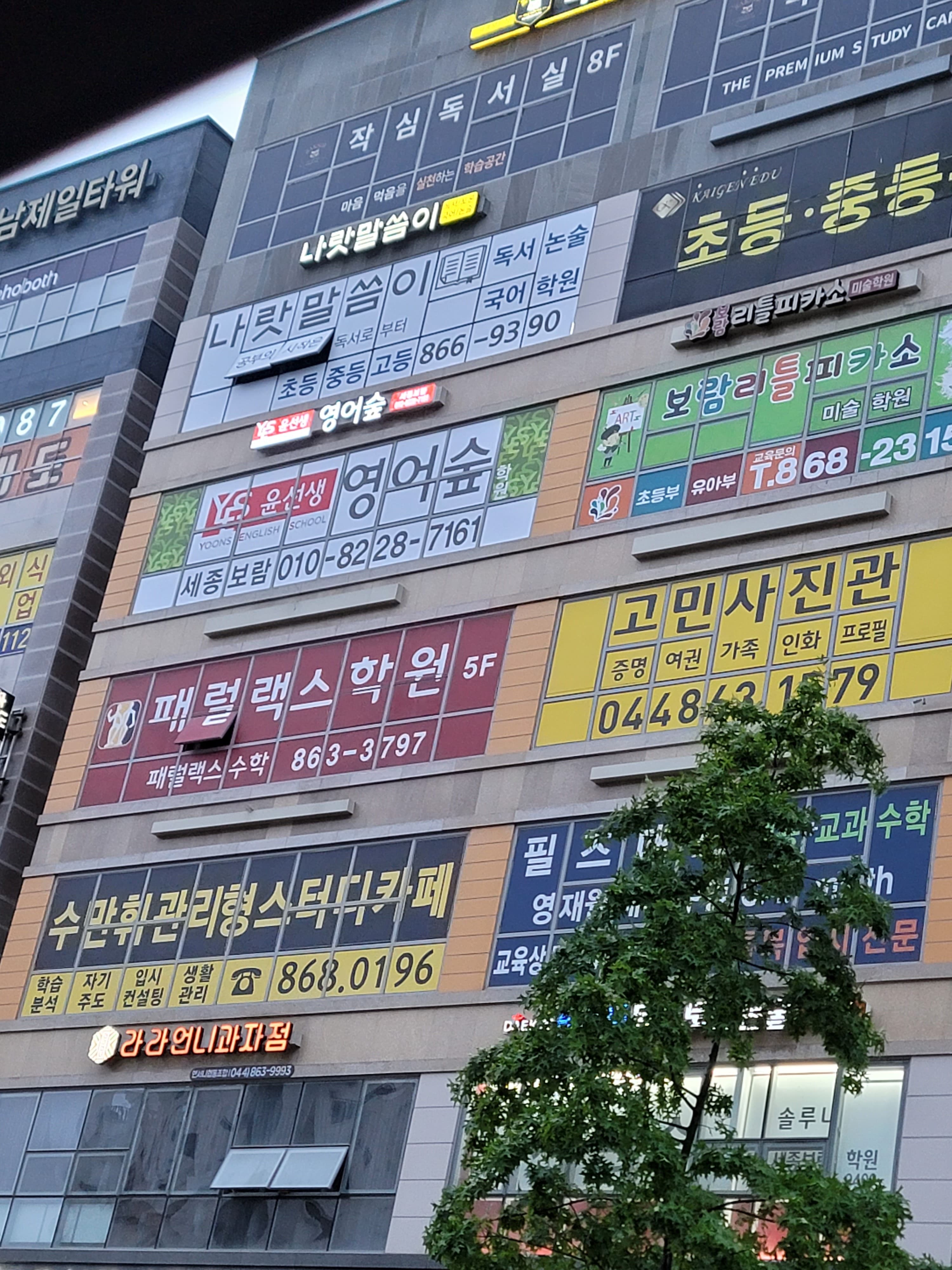 윤선생영어숲 세종보람학원 사진 6