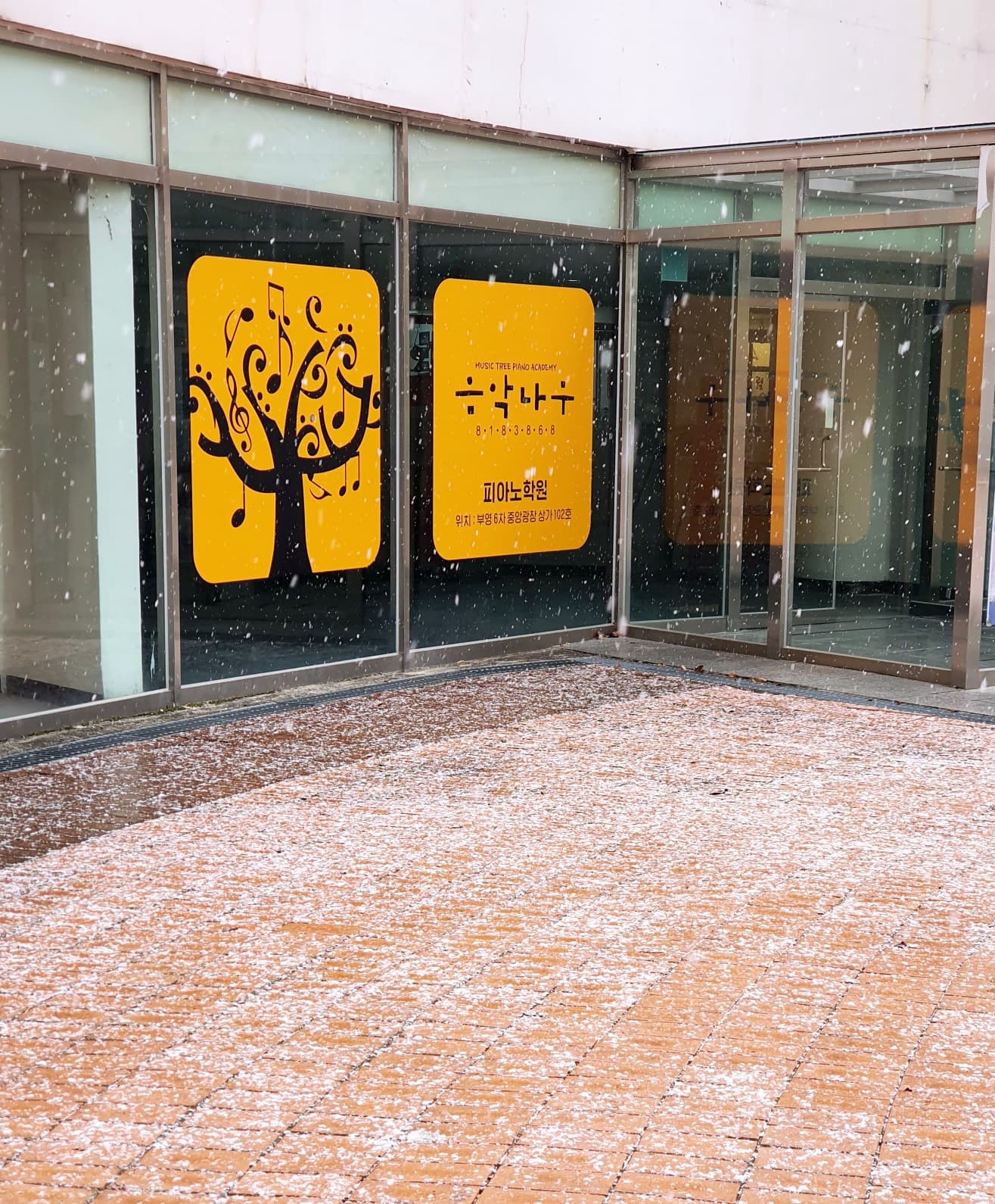 음악나무 피아노학원 사진 2