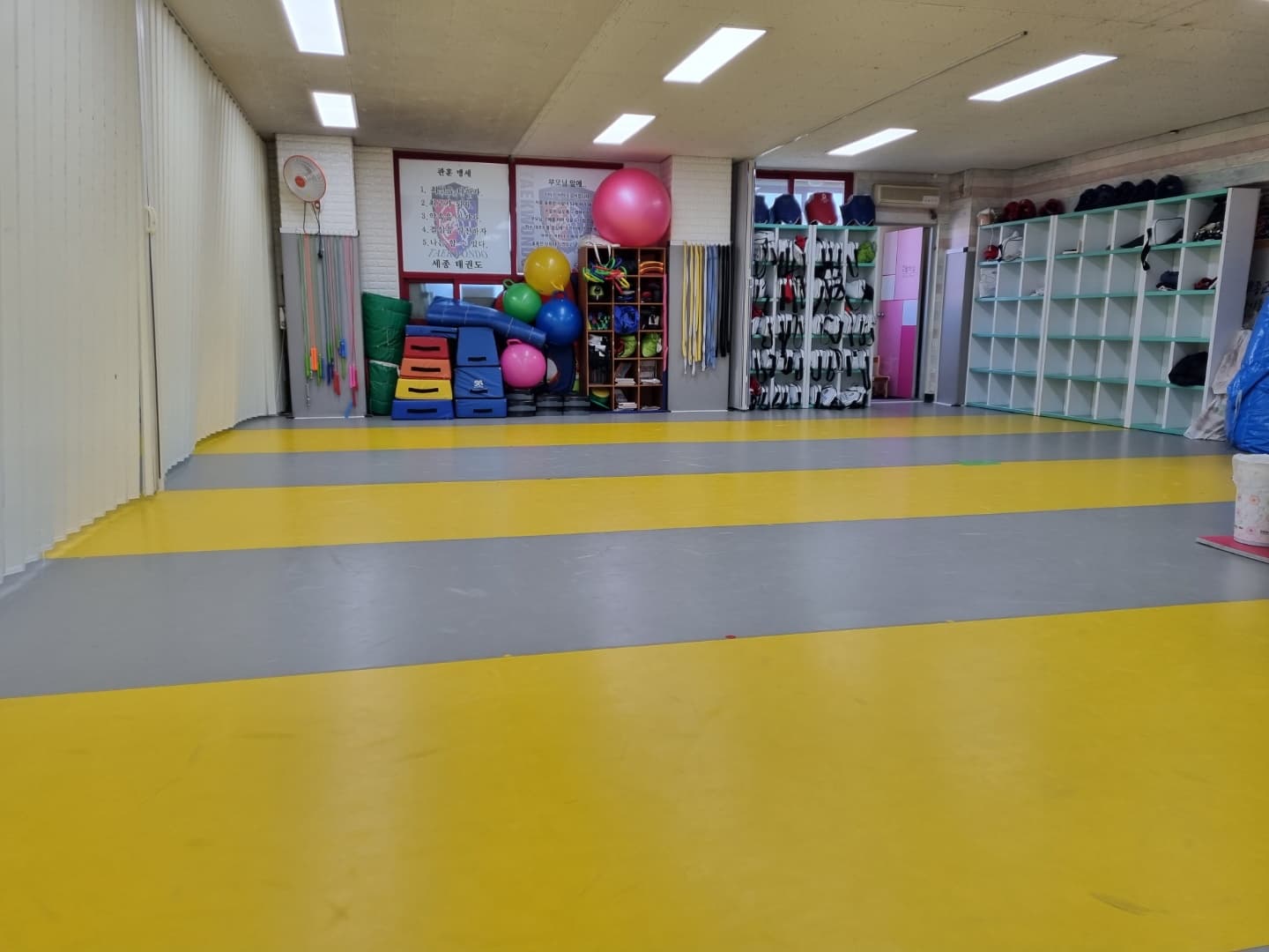 세종 태권도 사진 2