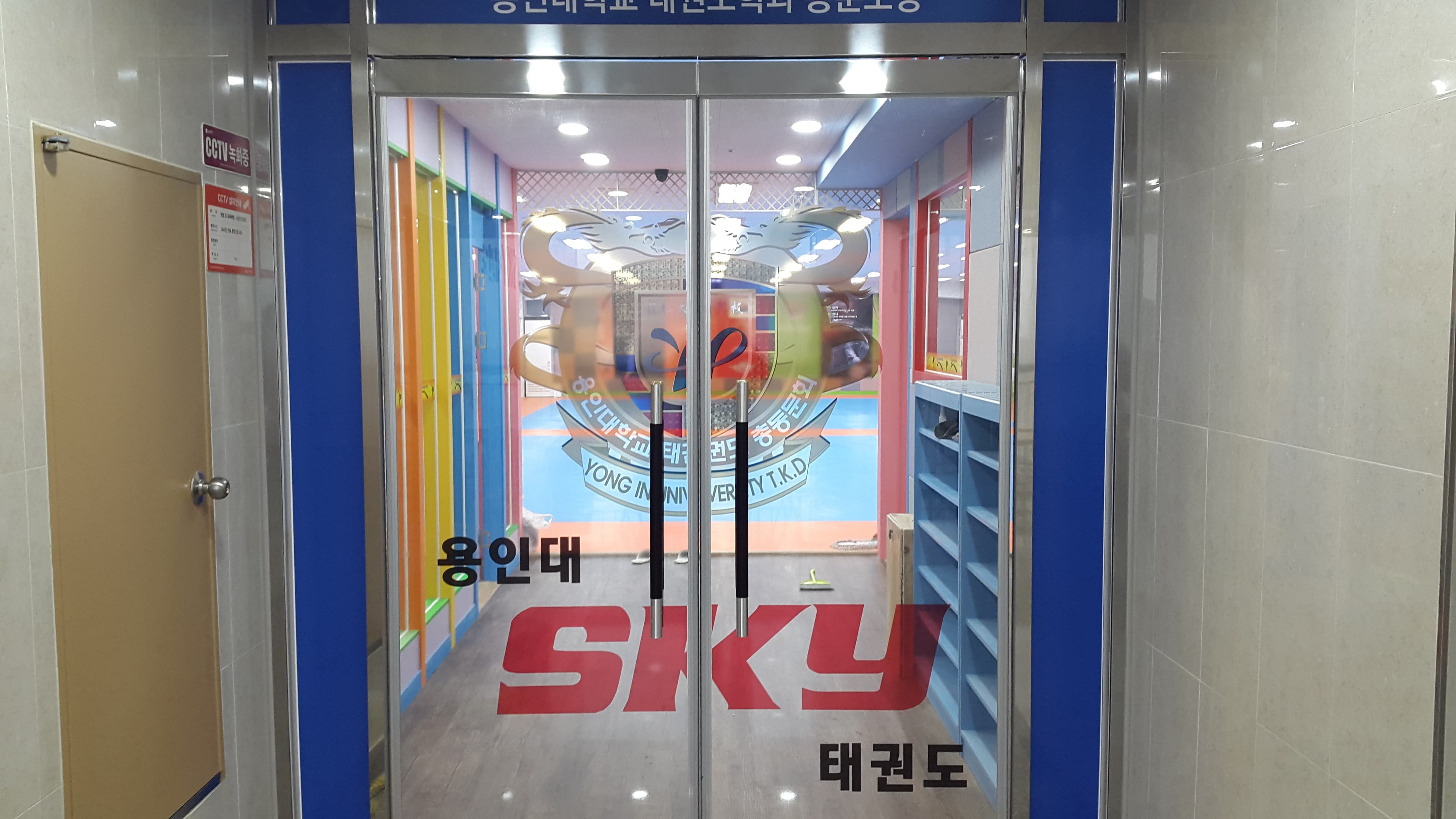 용인대SKY 태권도 사진 2